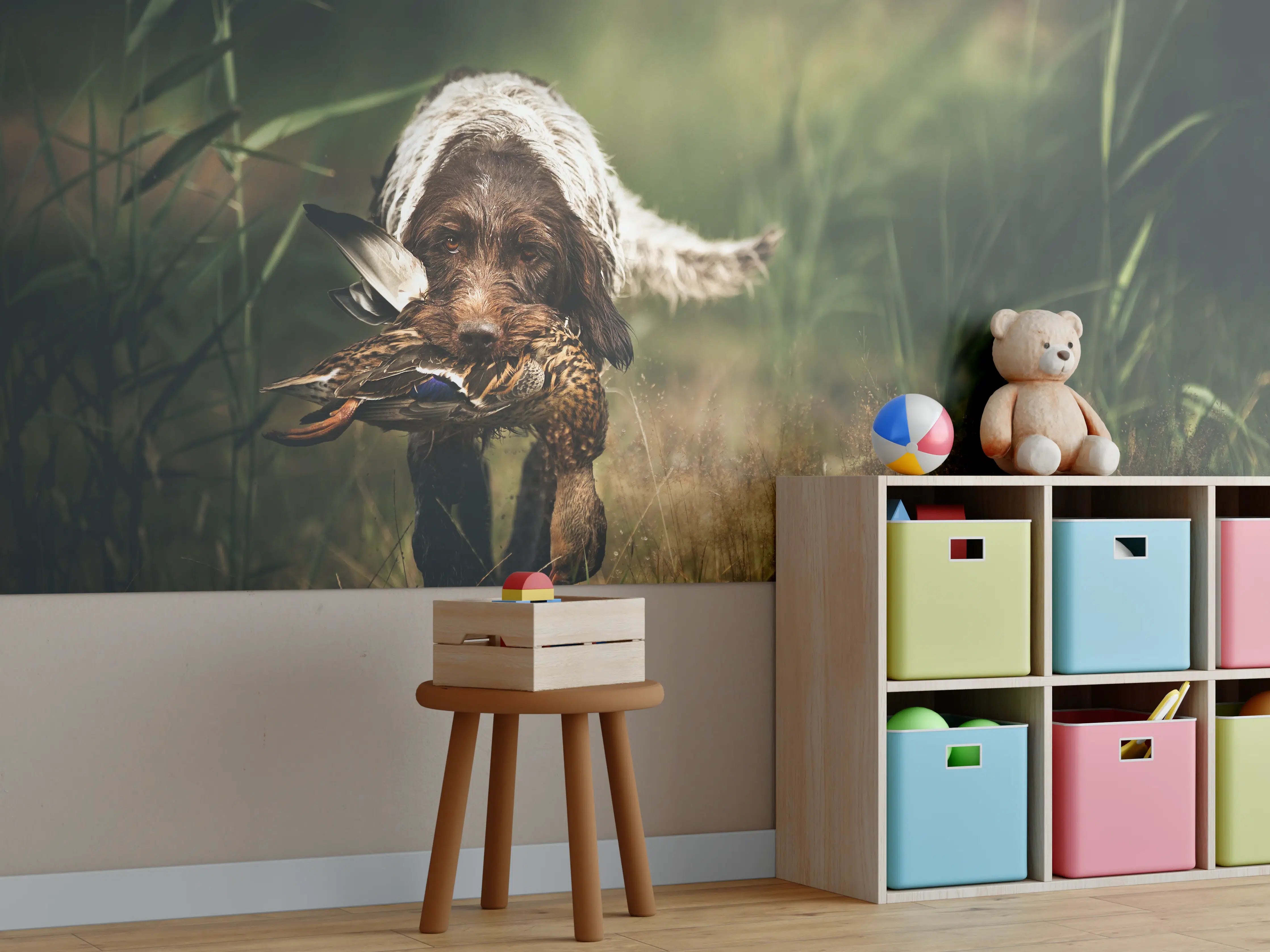 Kinderzimmer Wandgestaltung - Griffon Korthals beim Apportieren einer Ente