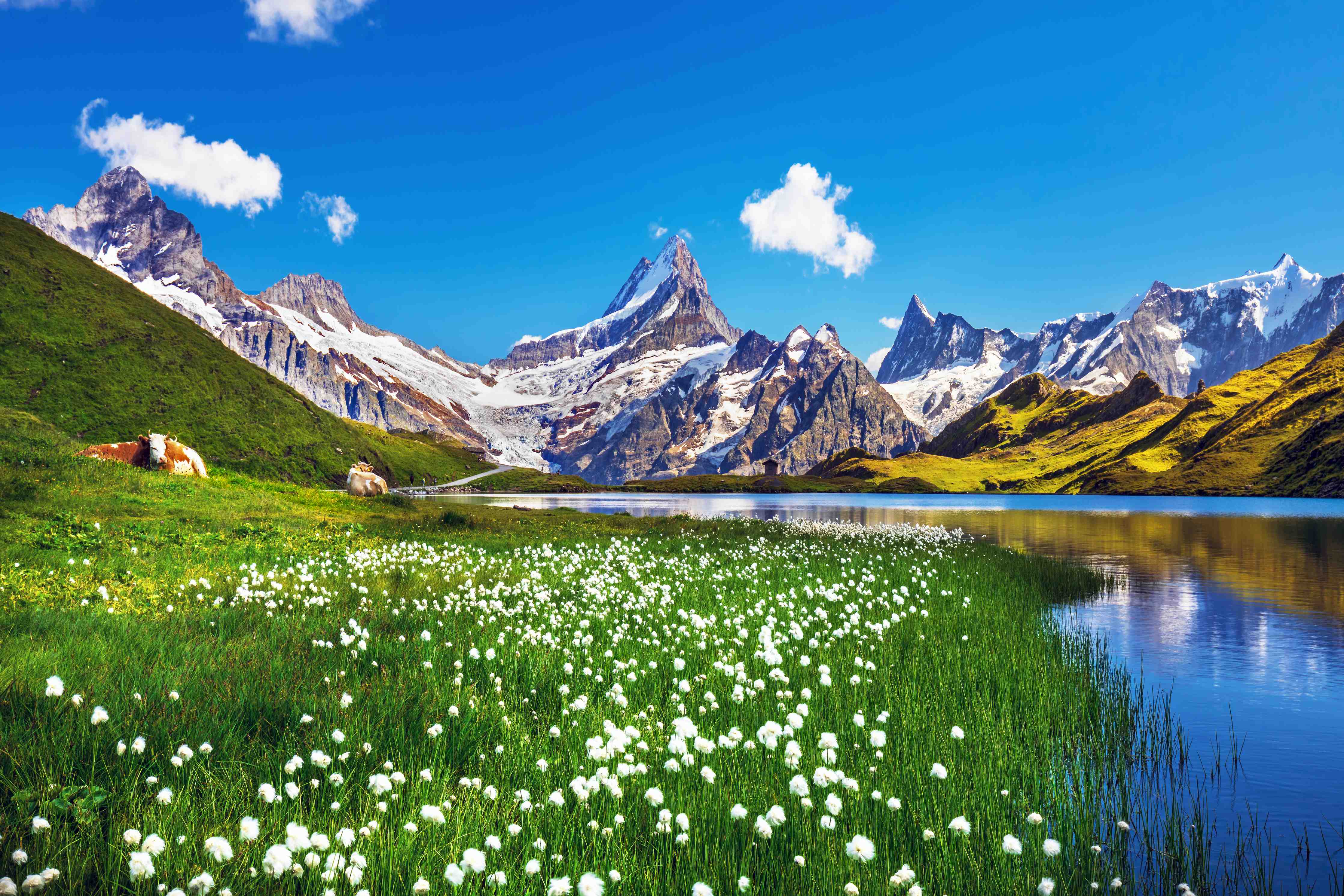 Kinderzimmer Wandgestaltung-Heitere Aussicht auf die Berner Alpenkette