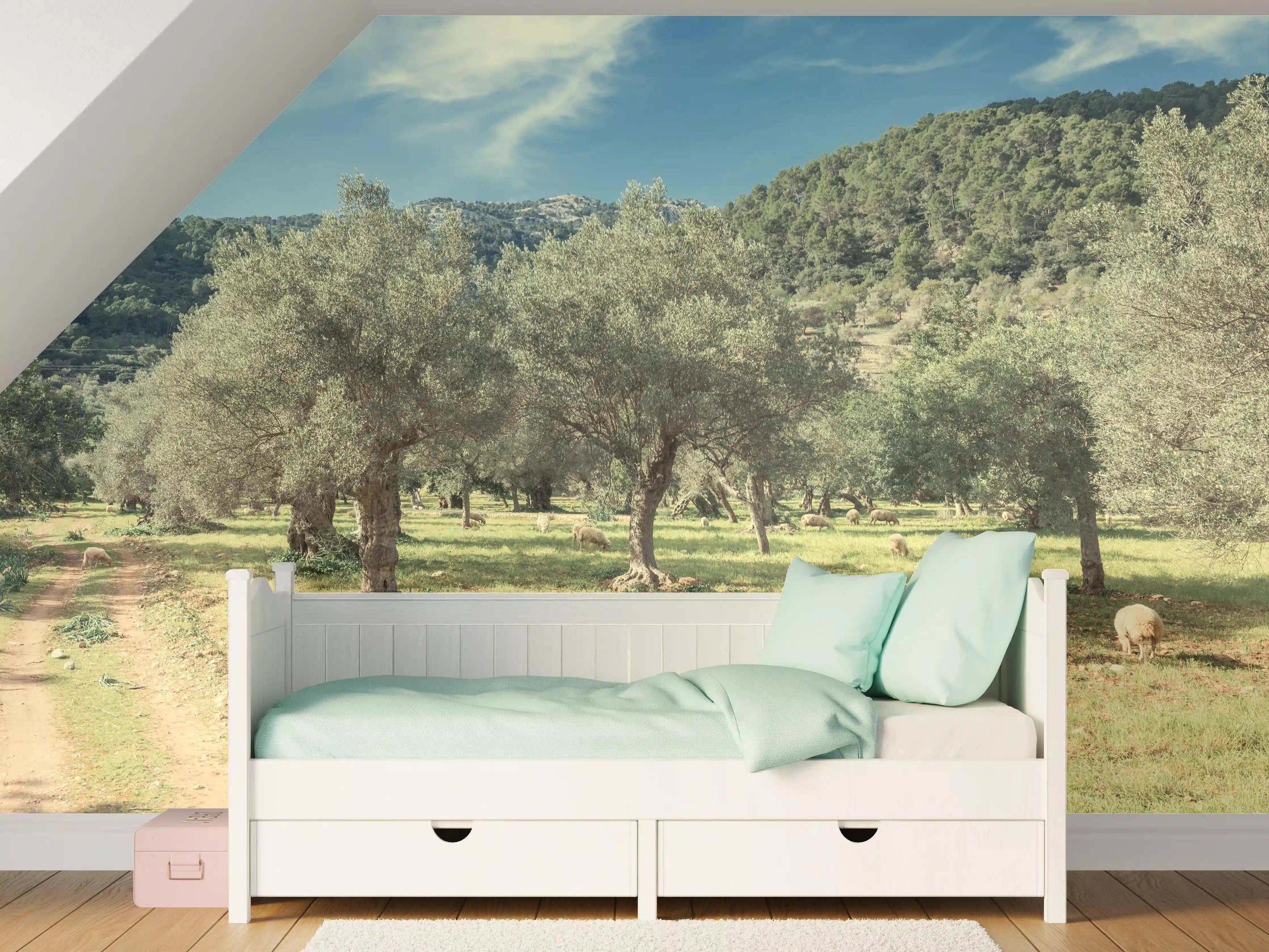 Kinderzimmer Wandgestaltung - Idyllischer Olivenhain bei Sonnenlicht
