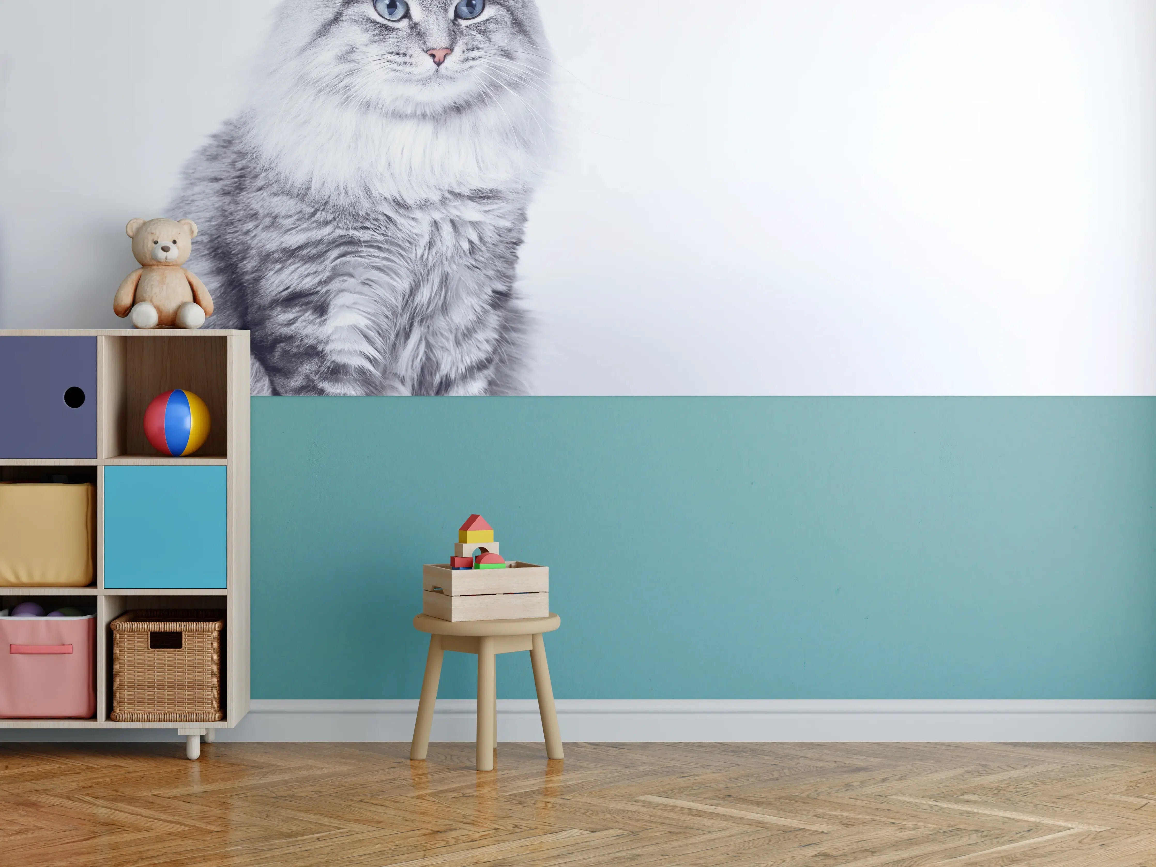 Kinderzimmer Wandgestaltung - Langhaar Kätzchen mit schönen blauen Augen