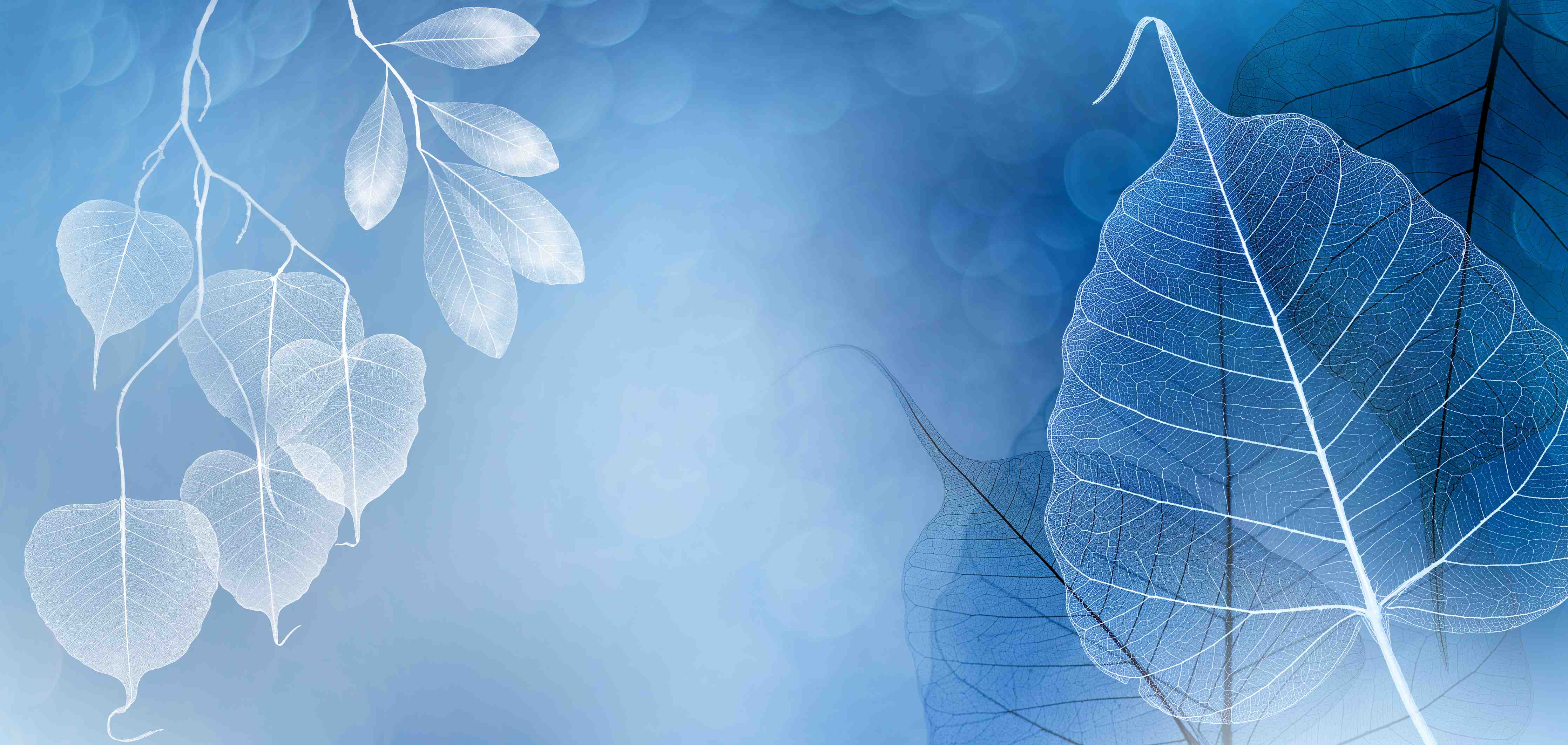 Kinderzimmer Wandgestaltung-Makro Blätter Blau-Grau Kunst