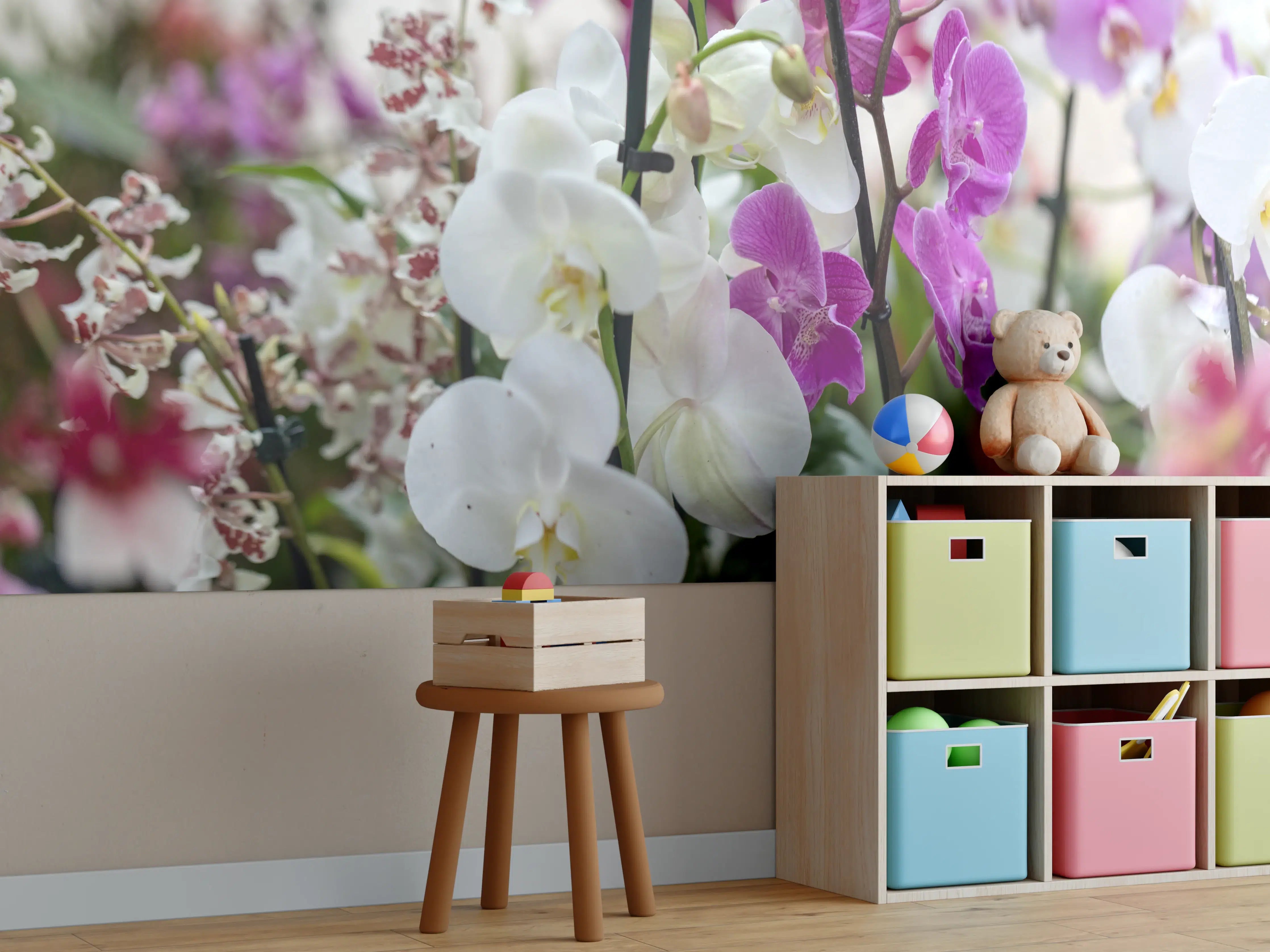 Kinderzimmer Wandgestaltung - Nahaufnahme von bunten Orchideen