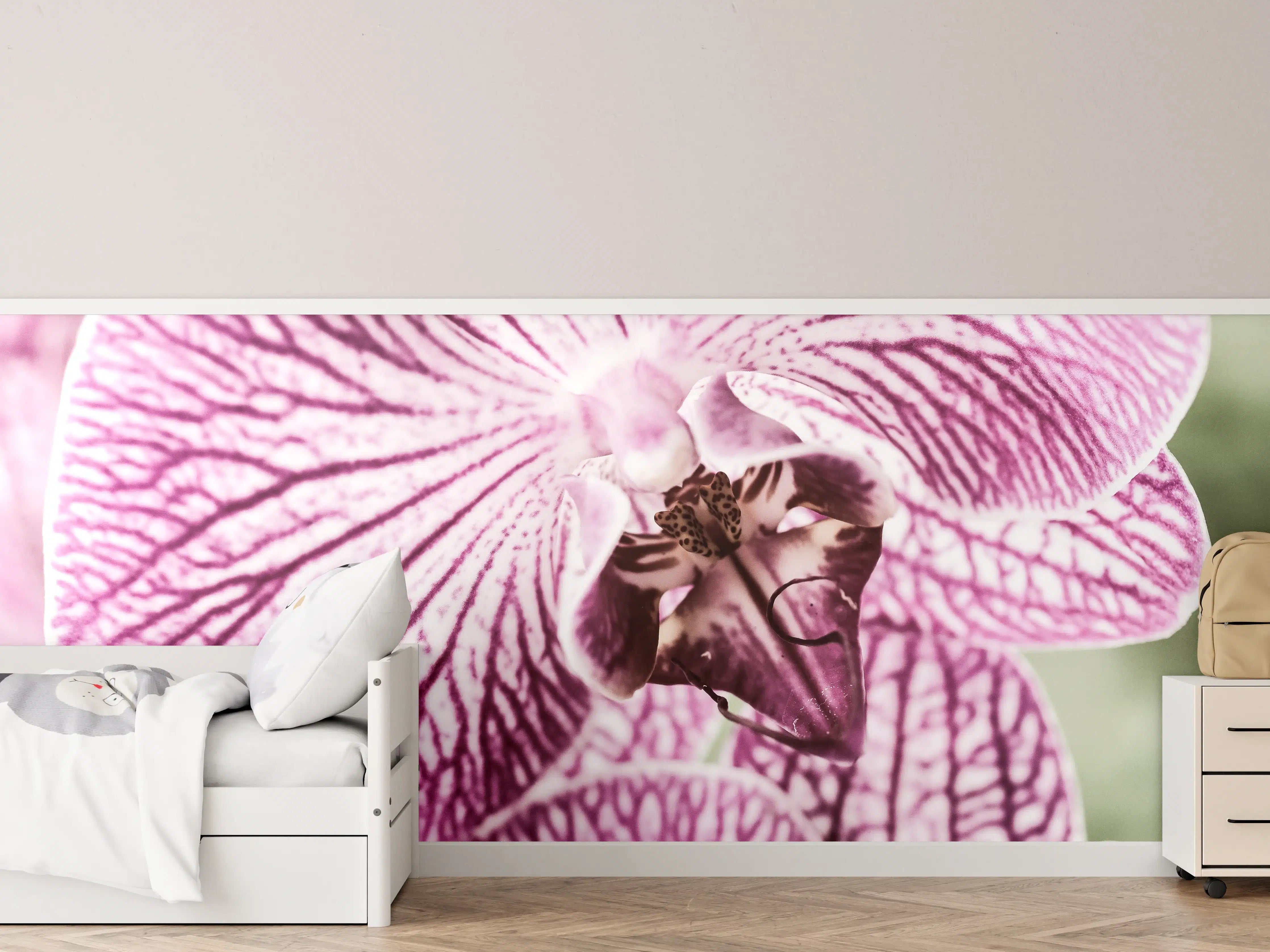 Kinderzimmer Wandgestaltung - Orchideen Makro Pink-Lila