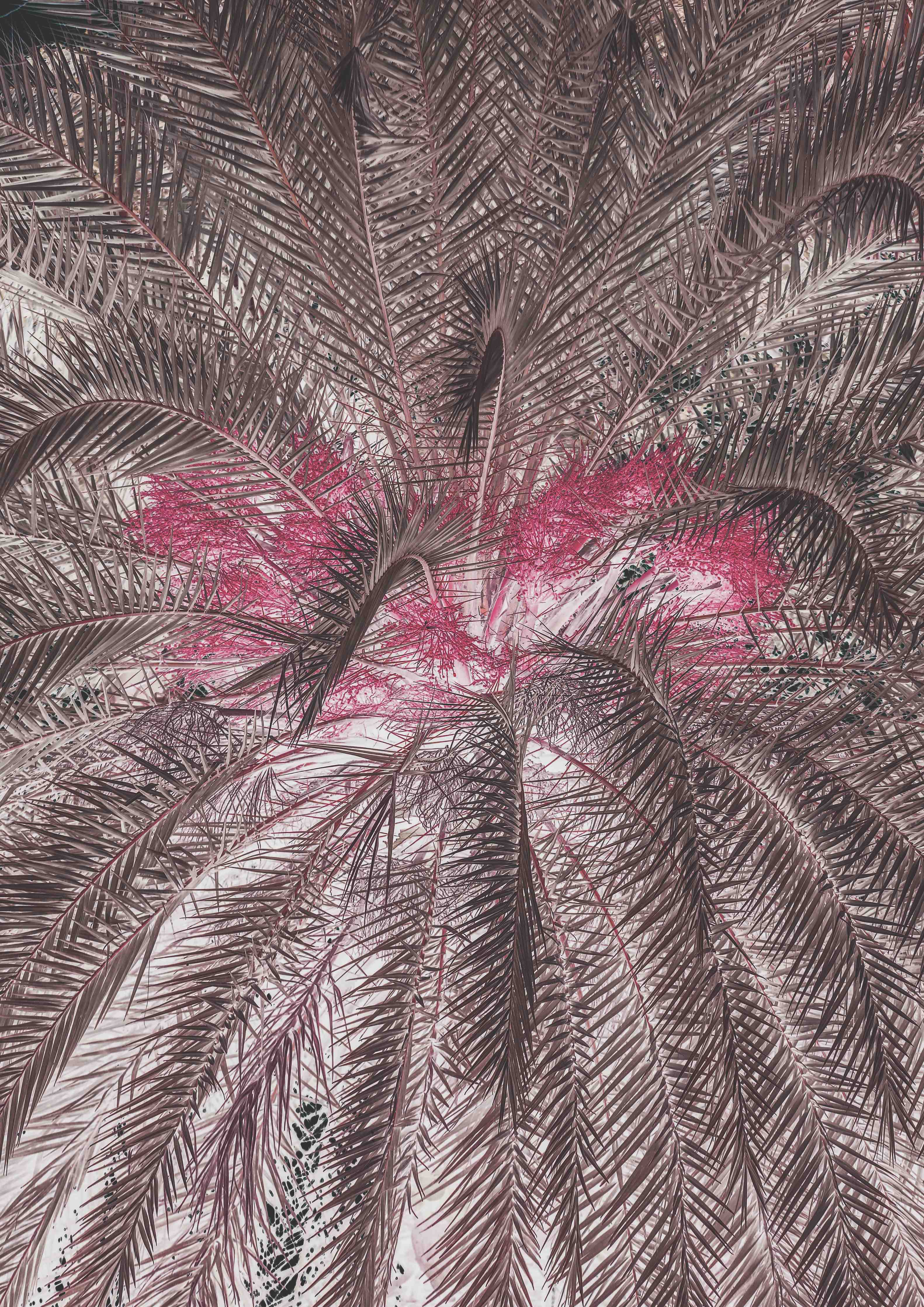 Kinderzimmer Wandgestaltung-Pink-Purple Palm Leaf Texture