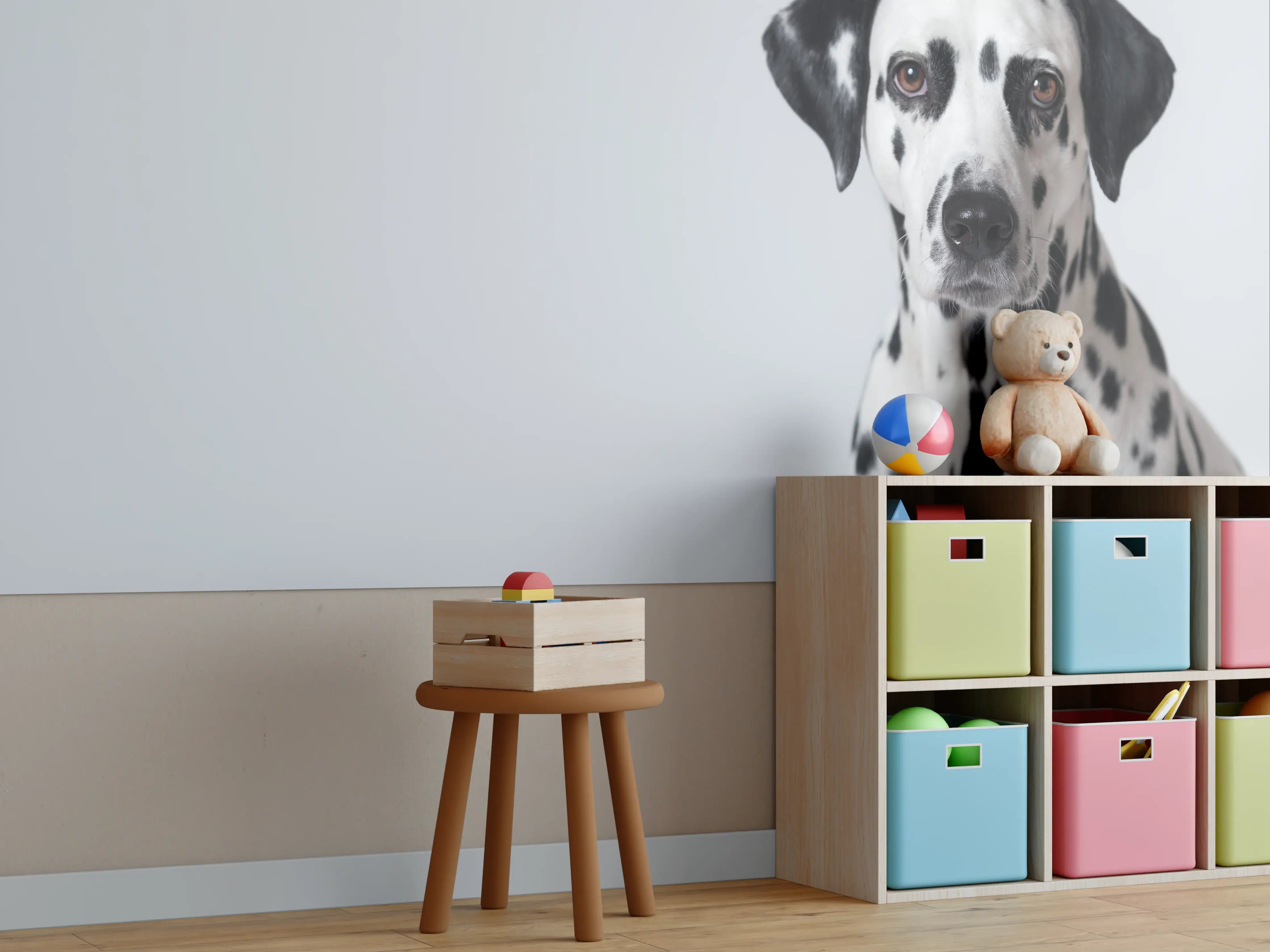 Kinderzimmer Wandgestaltung - Portrait eines Dalmatiners auf weißem Hintergrund