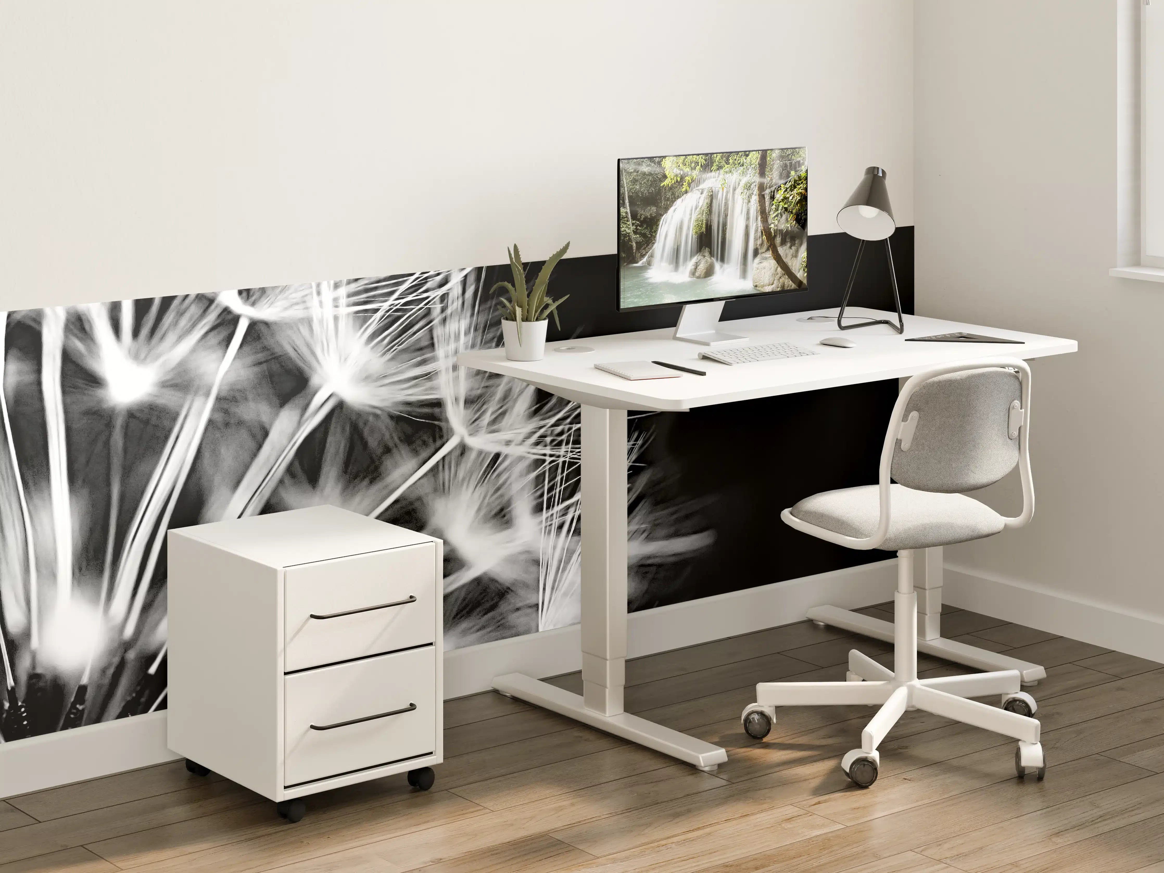 Kinderzimmer Wandgestaltung - Pusteblumen schwarz-weiß Hintergrund