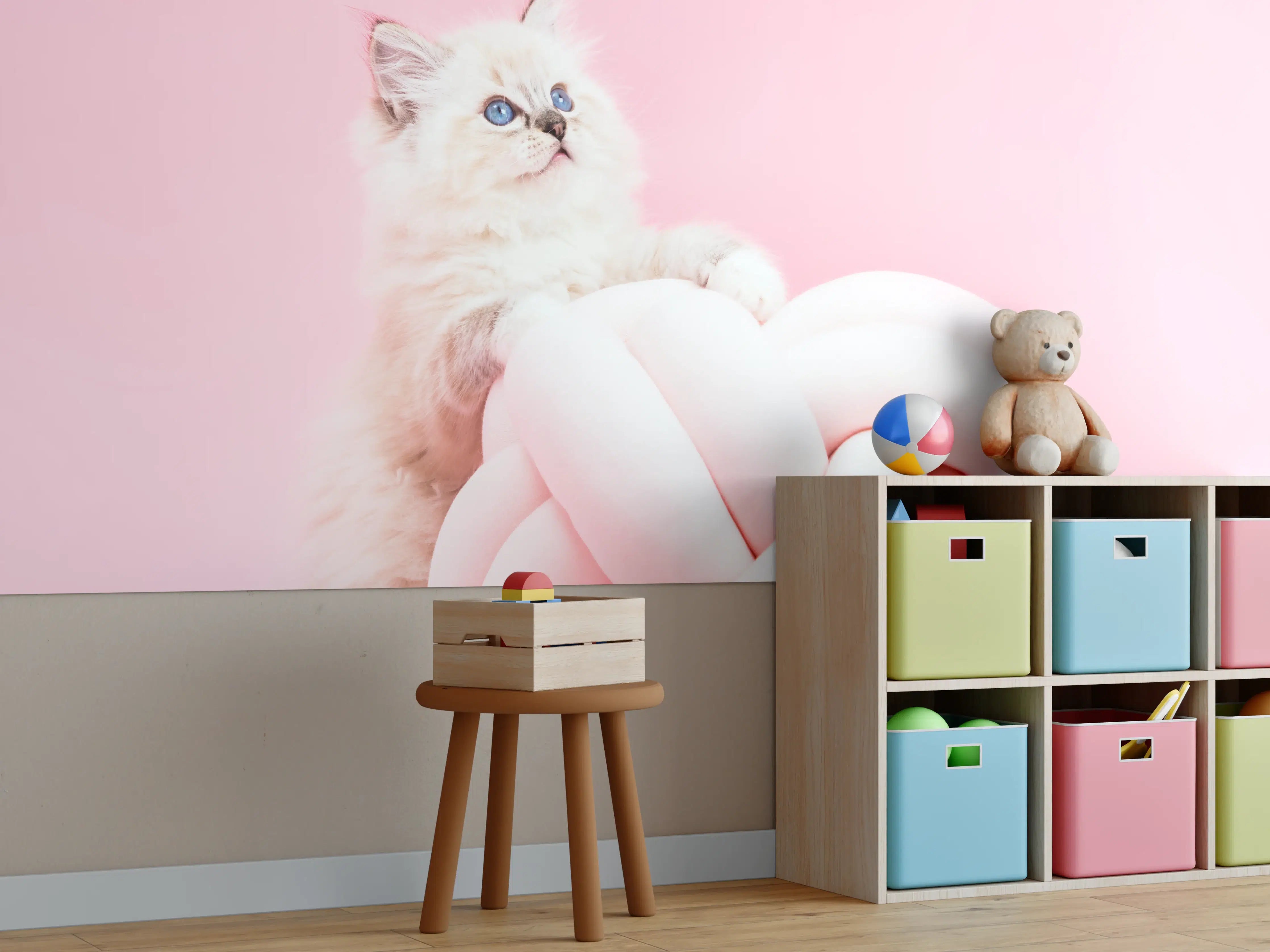 Kinderzimmer Wandgestaltung - Ragdoll Katze auf Pinken Hintergrund