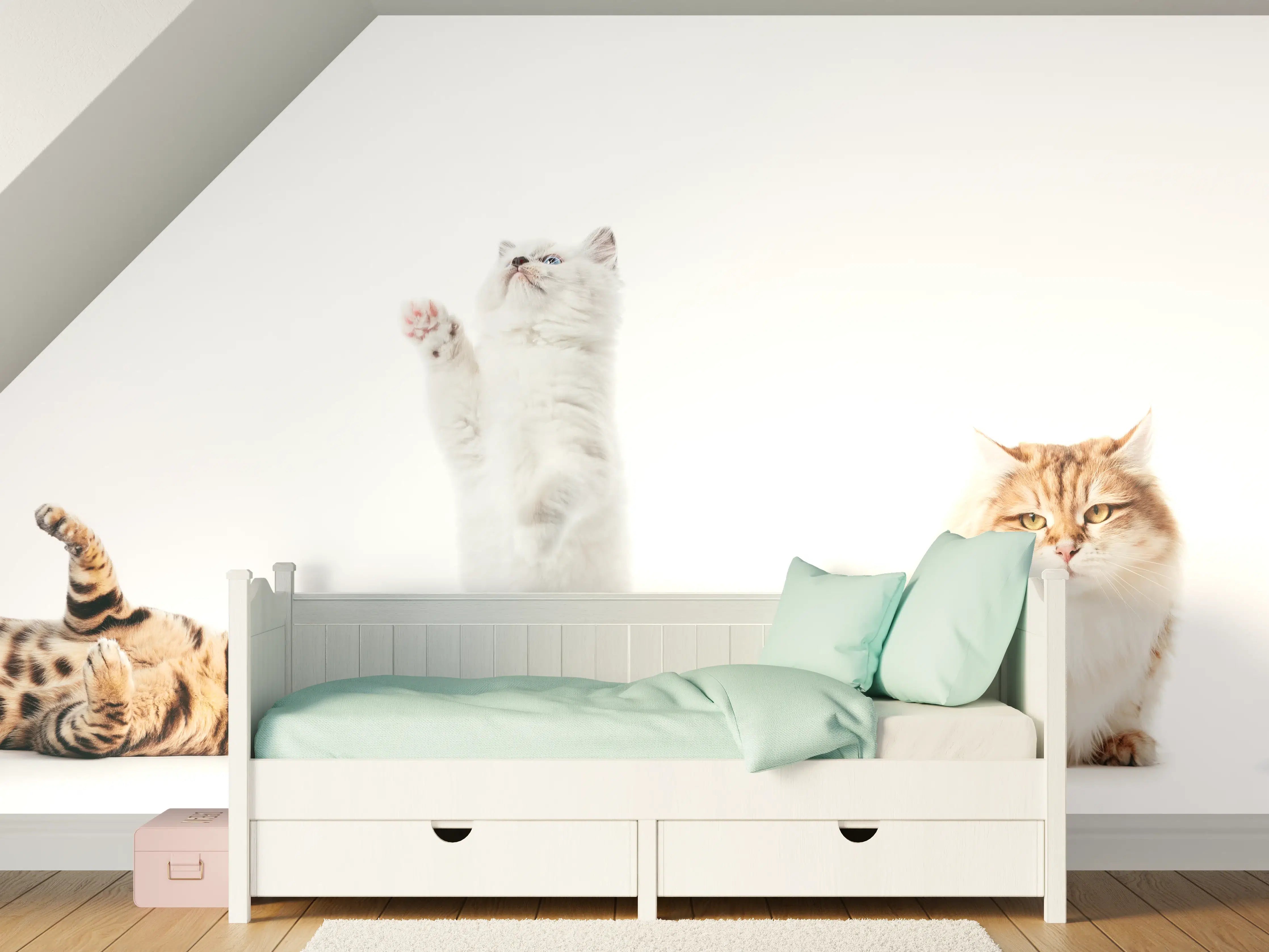 Kinderzimmer Wandgestaltung - Reinrassige Katzen Weiß-Sammlung