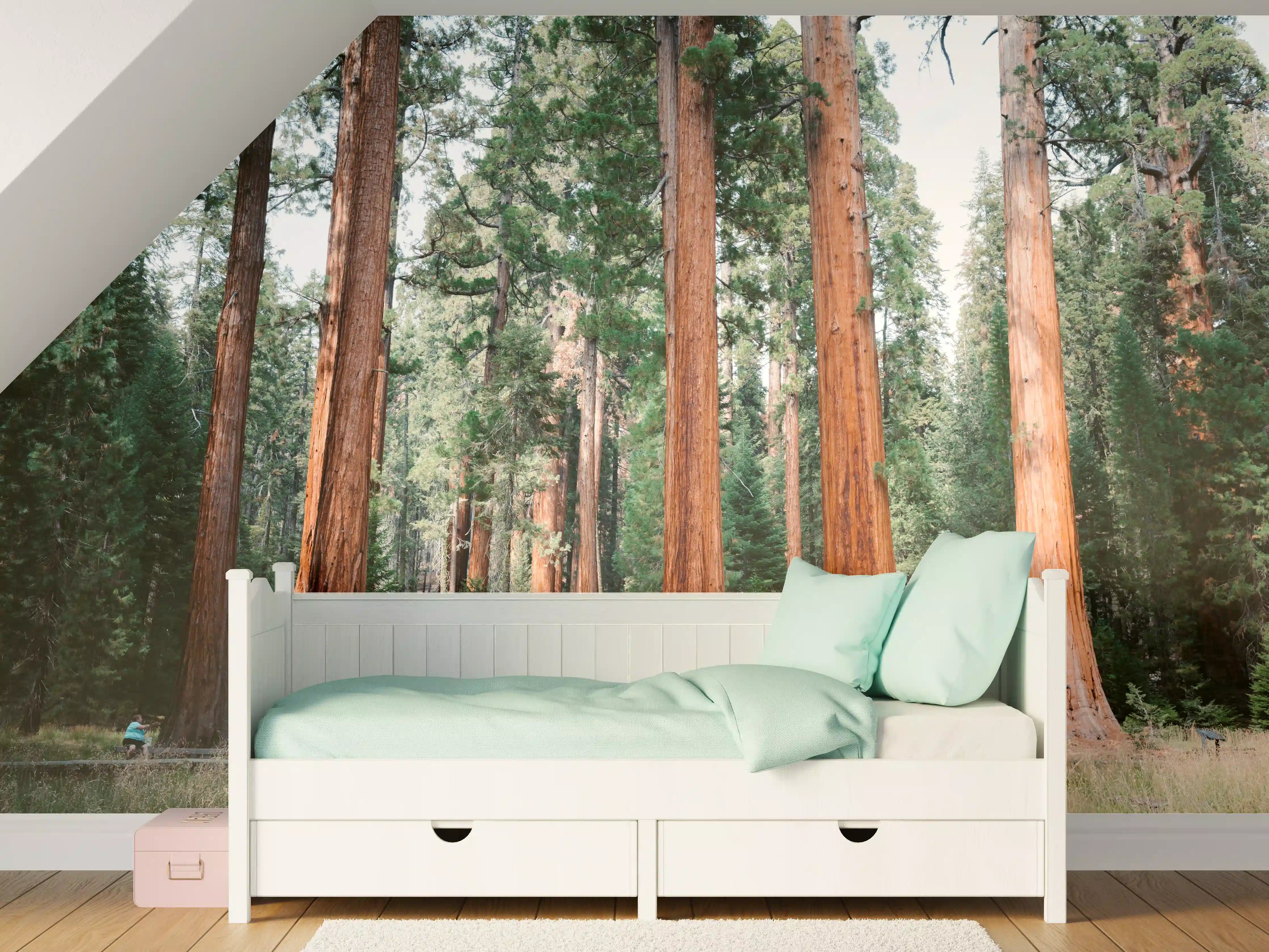 Kinderzimmer Wandgestaltung - Riesenmammutbäume im Sequoia-Nationalpark