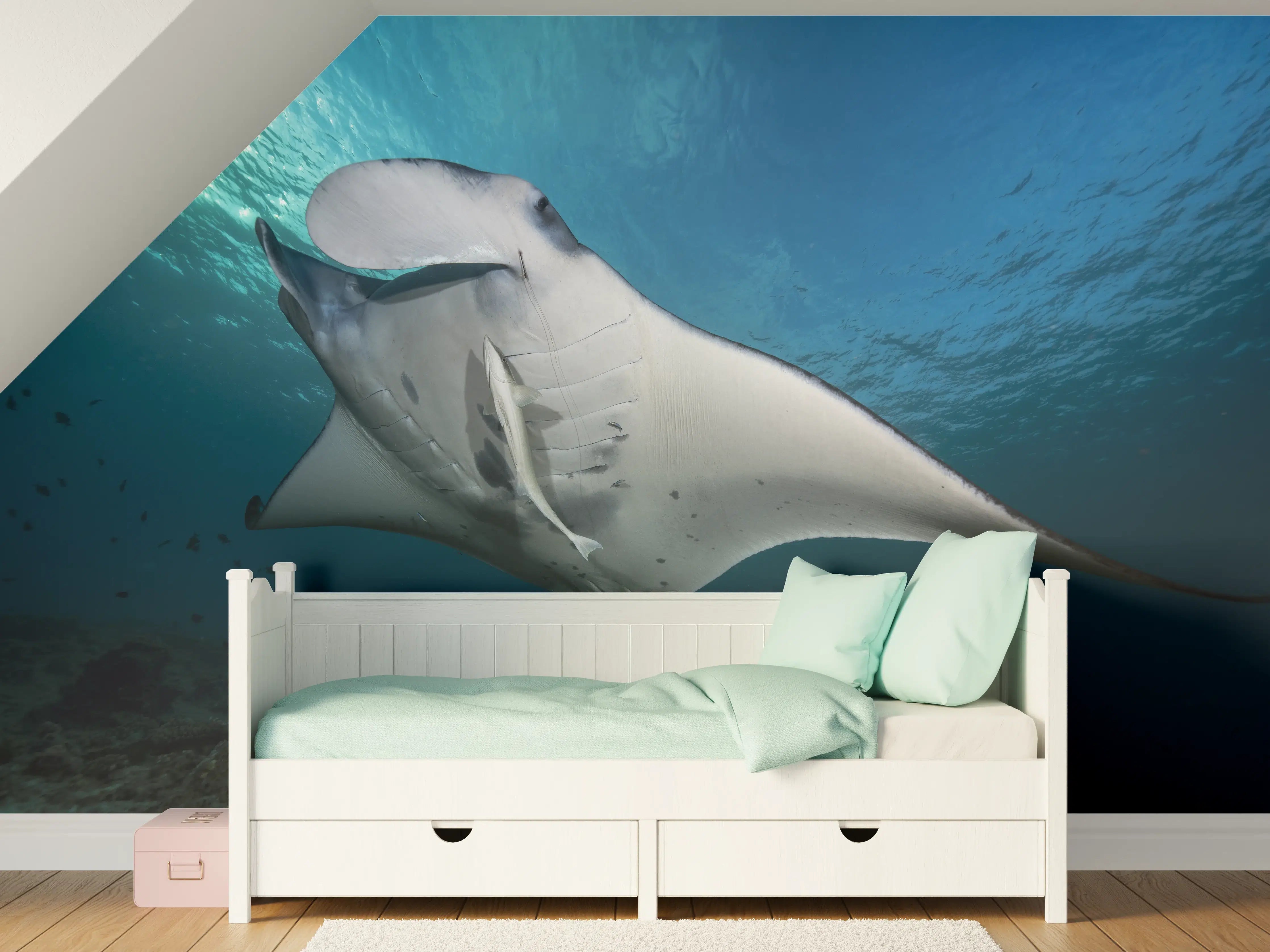 Kinderzimmer Wandgestaltung - Riff-Manta Unterwasser