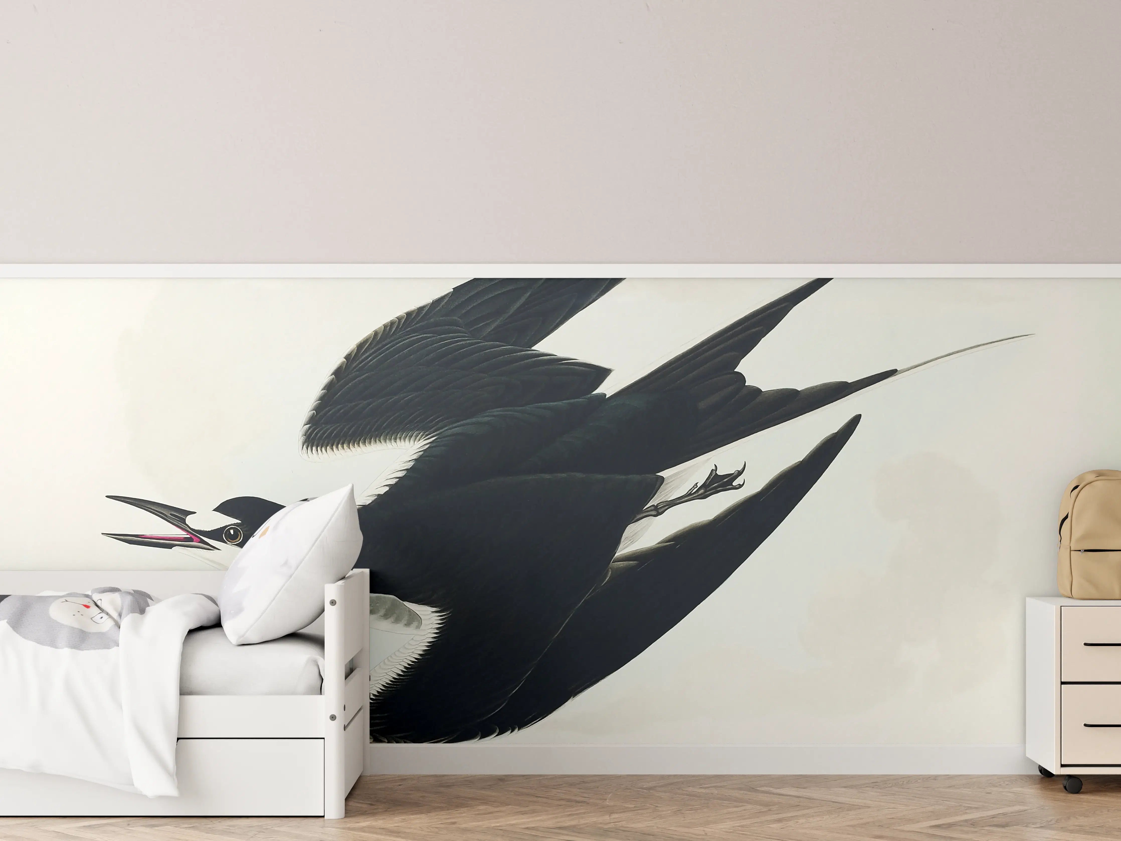 Kinderzimmer Wandgestaltung - Rußseeschwalbe Portrait - John James Audubon