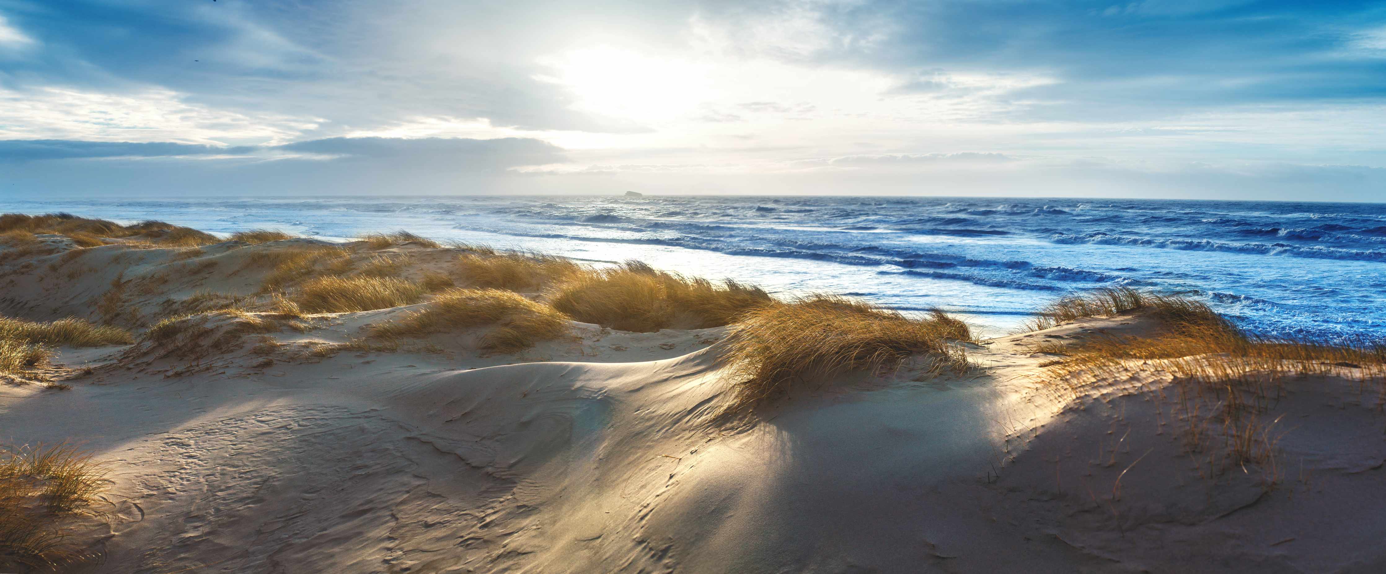 Kinderzimmer Wandgestaltung-Sanddünen am Meer bei Sonnenlicht