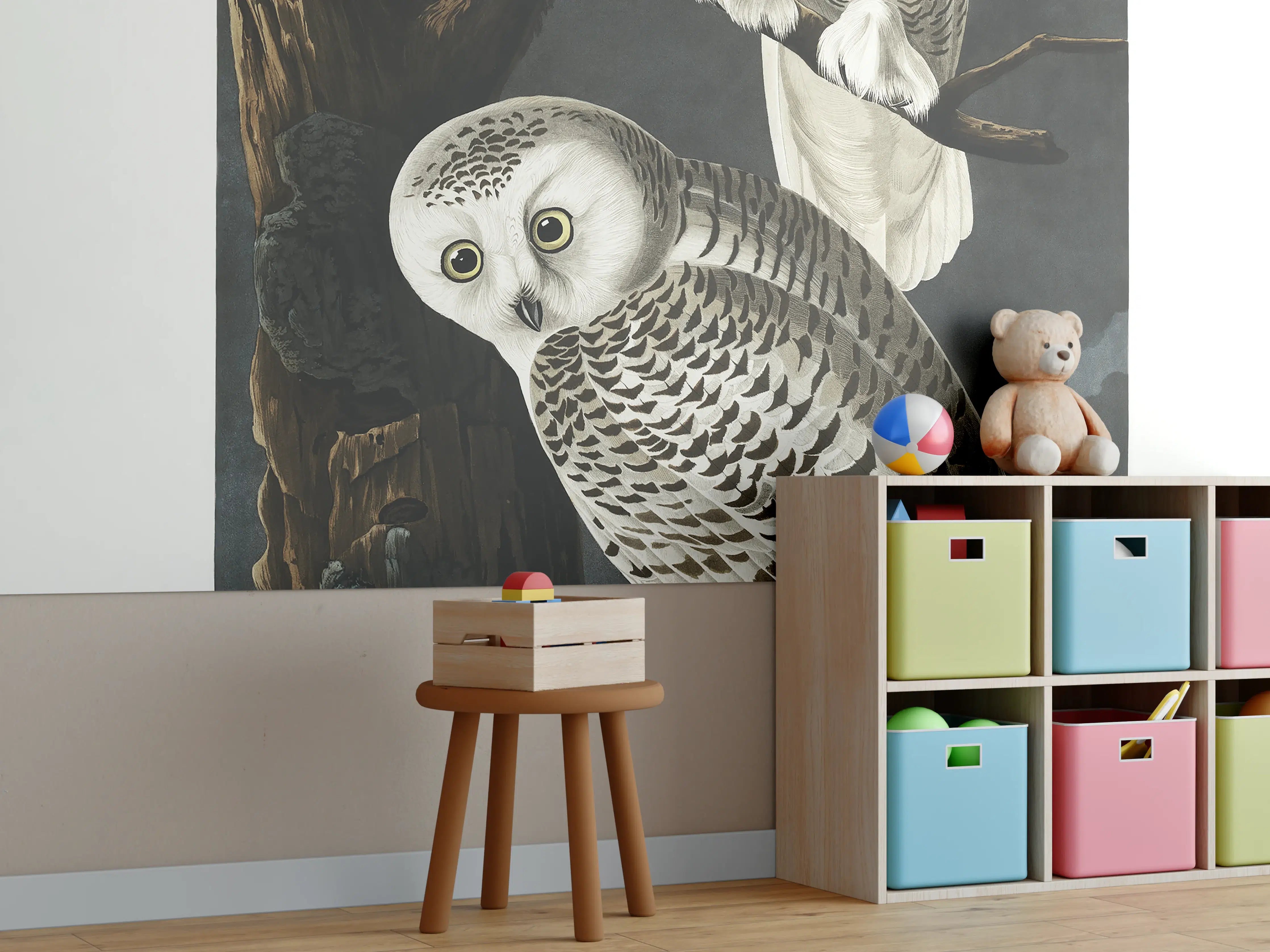 Kinderzimmer Wandgestaltung - Schneeweiße Eulen - John James Audubon