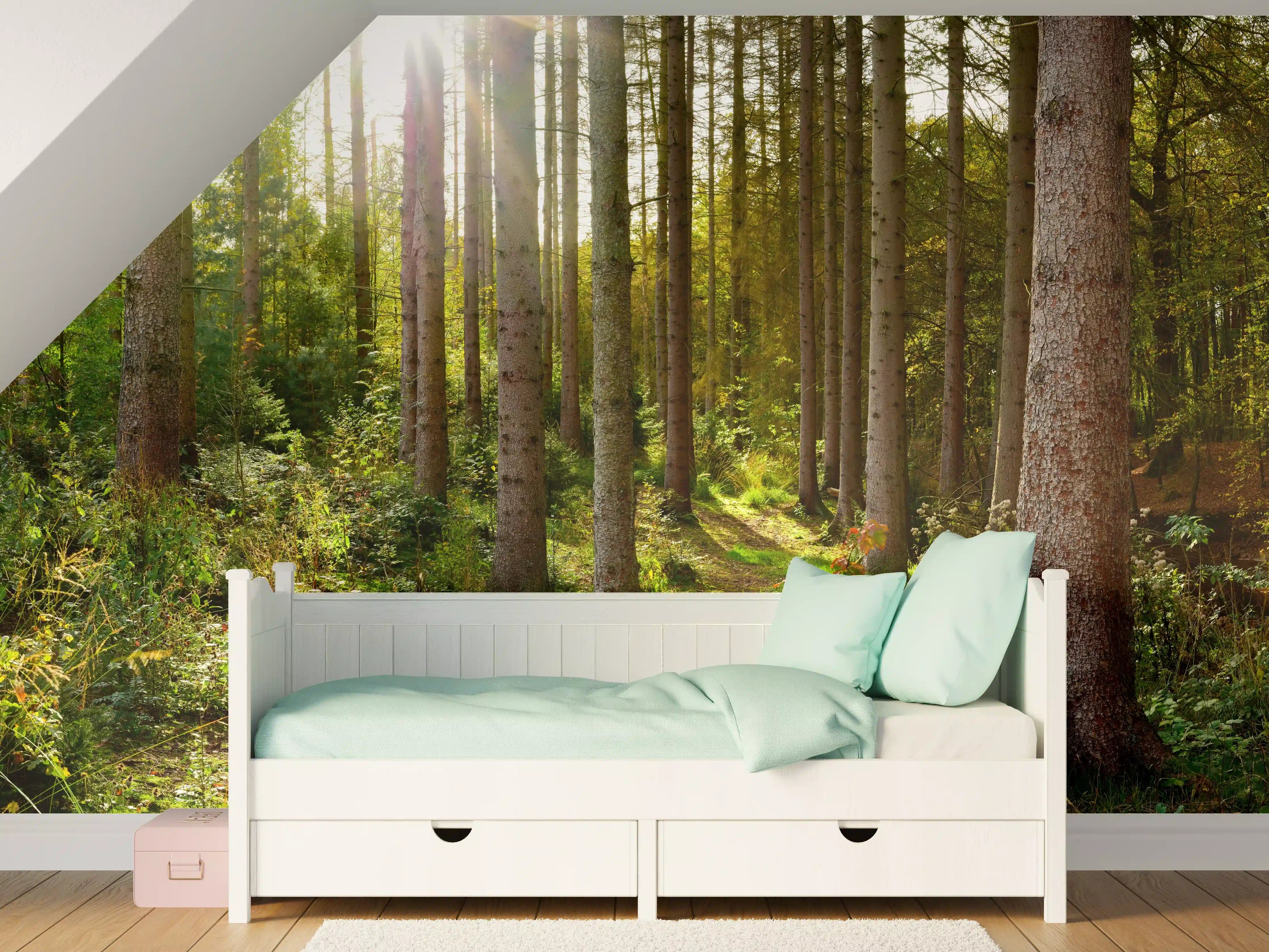 Kinderzimmer Wandgestaltung - Schöner Fichtenwald im Herbst