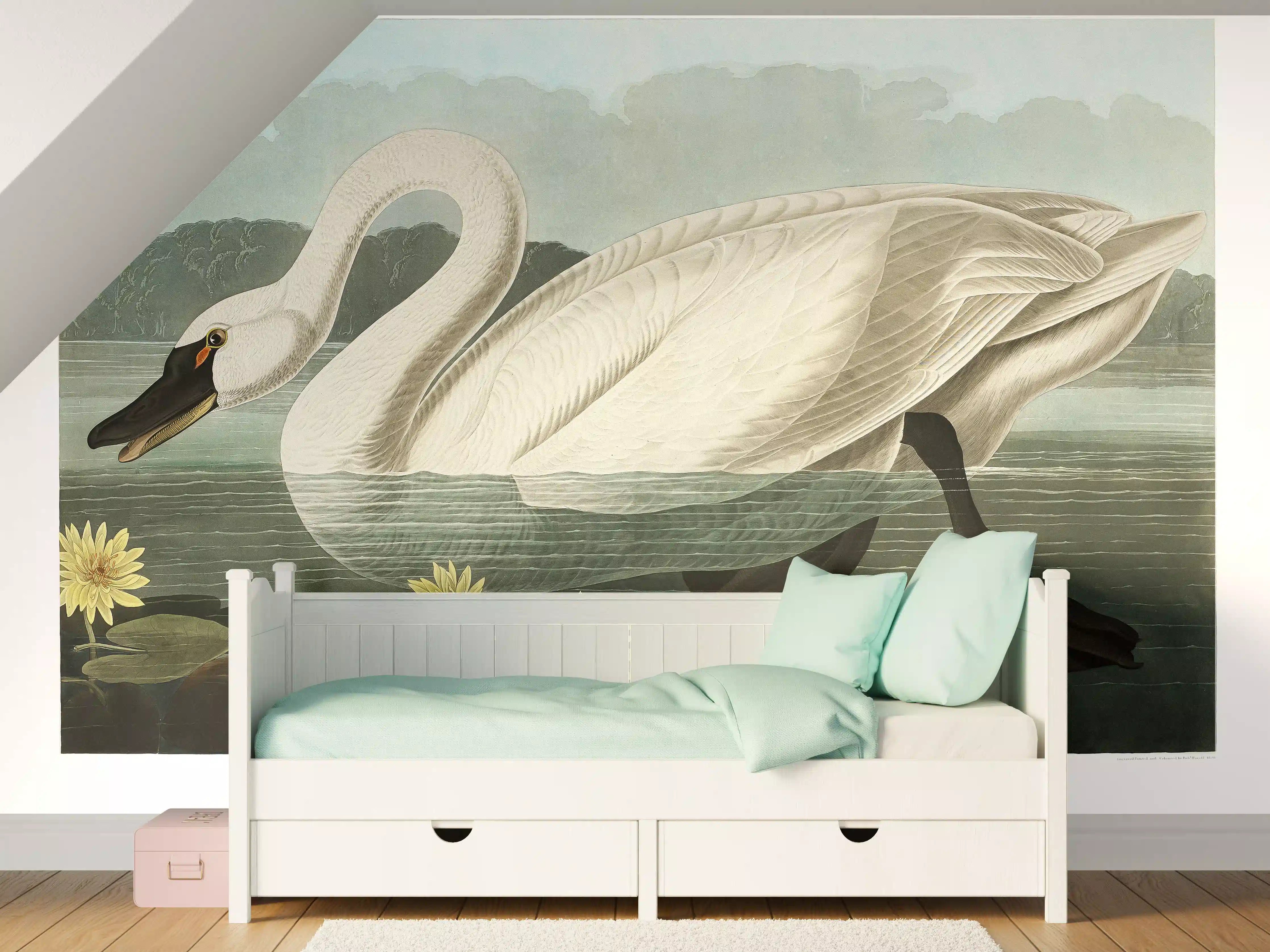 Kinderzimmer Wandgestaltung - Schwan Portait - Robert Havell