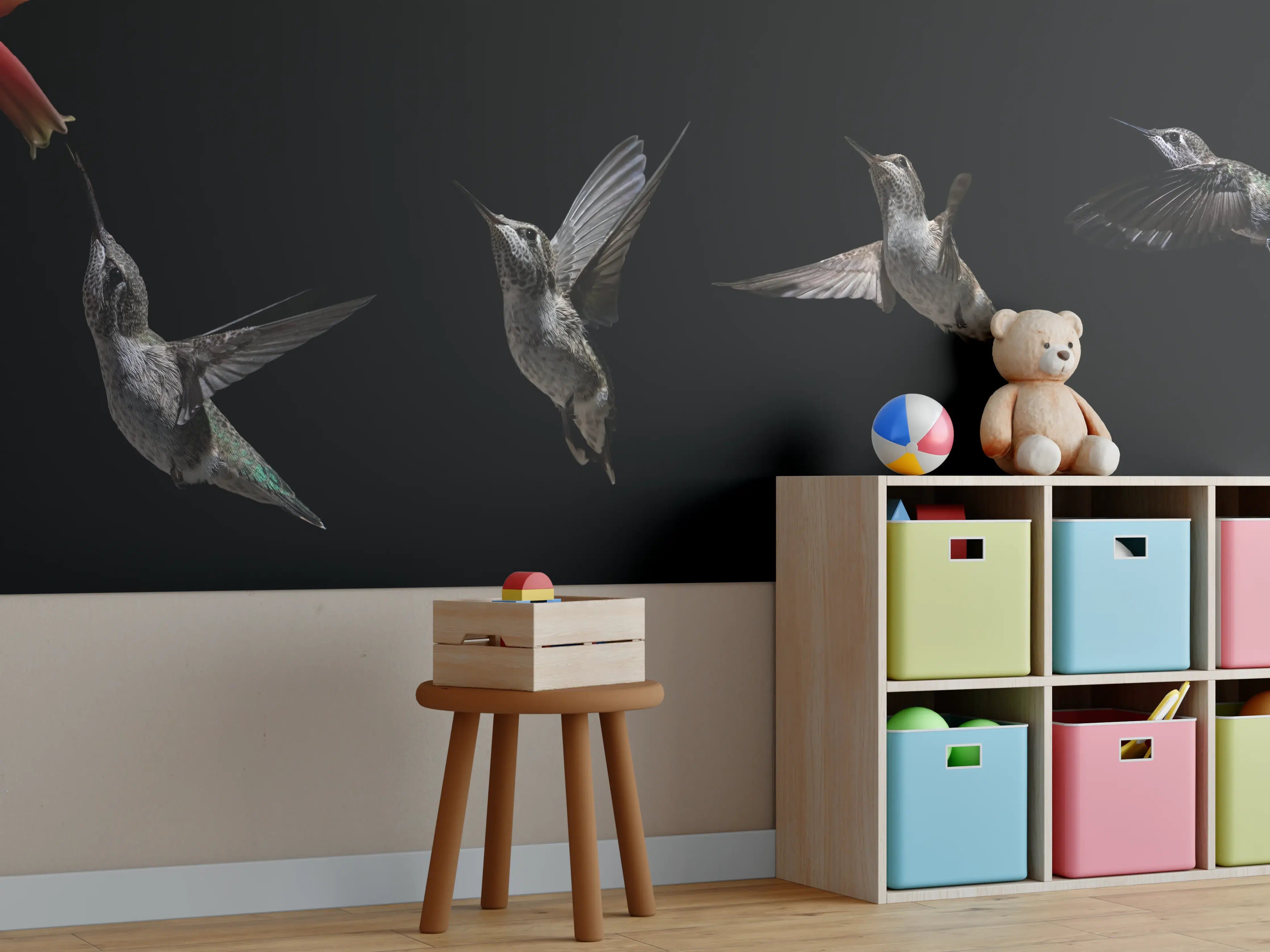 Kinderzimmer Wandgestaltung - Schwarzkinnkolibri Vogel mit Schwarzem Hintergrund