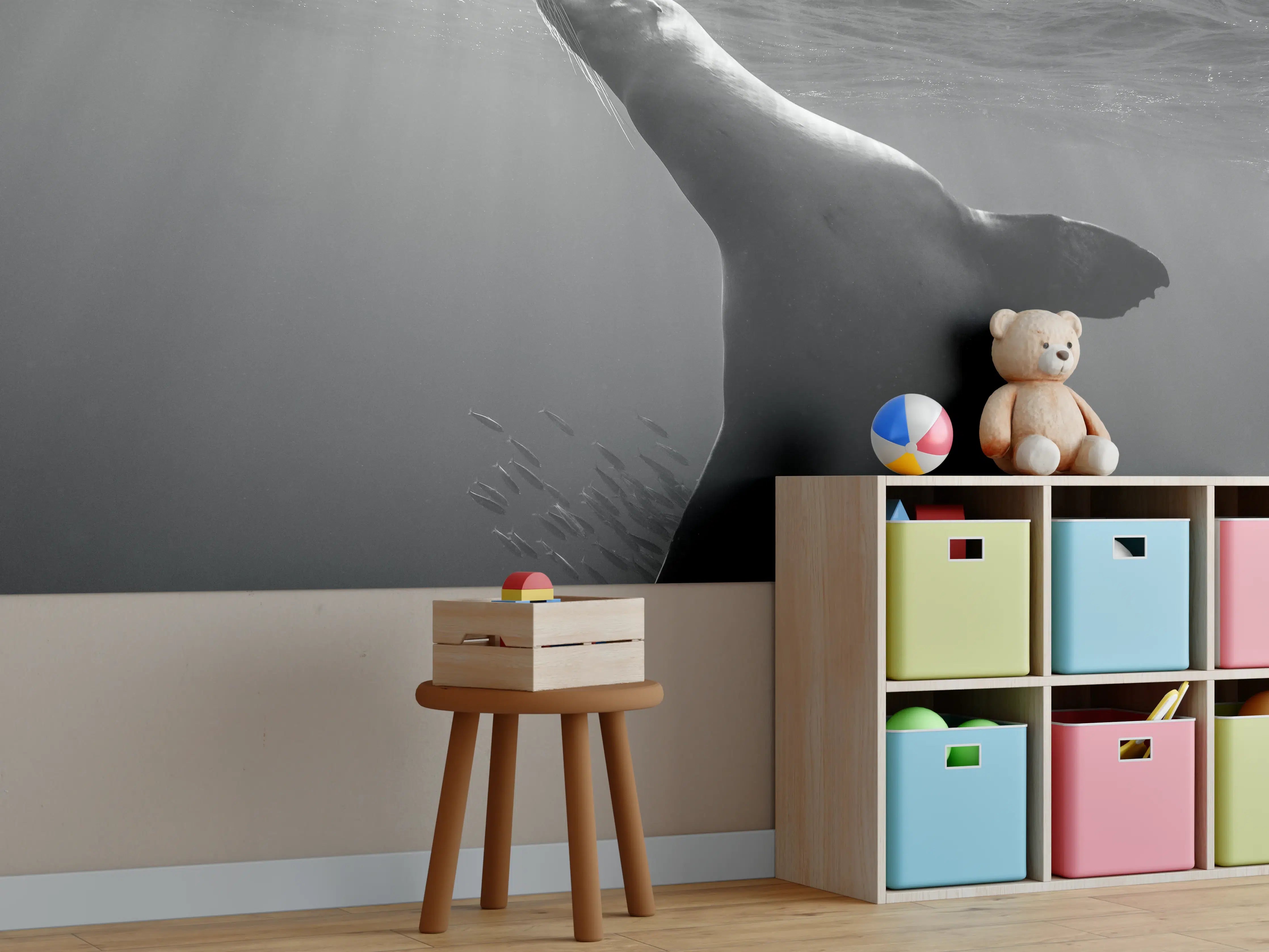 Kinderzimmer Wandgestaltung - Seelöwe beim Fressen von Sardinen