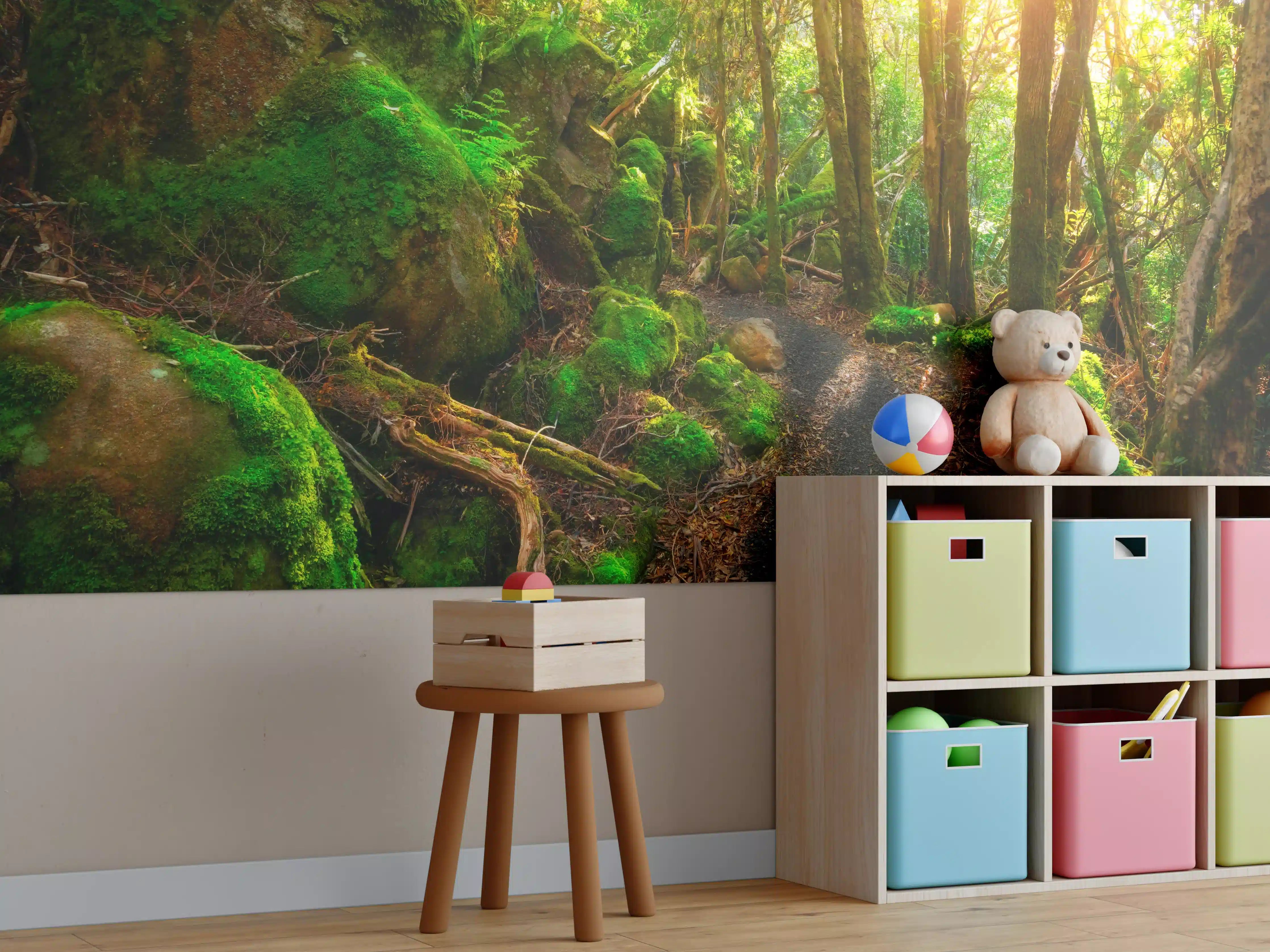 Kinderzimmer Wandgestaltung - Sonniger Wald in Tasmanien