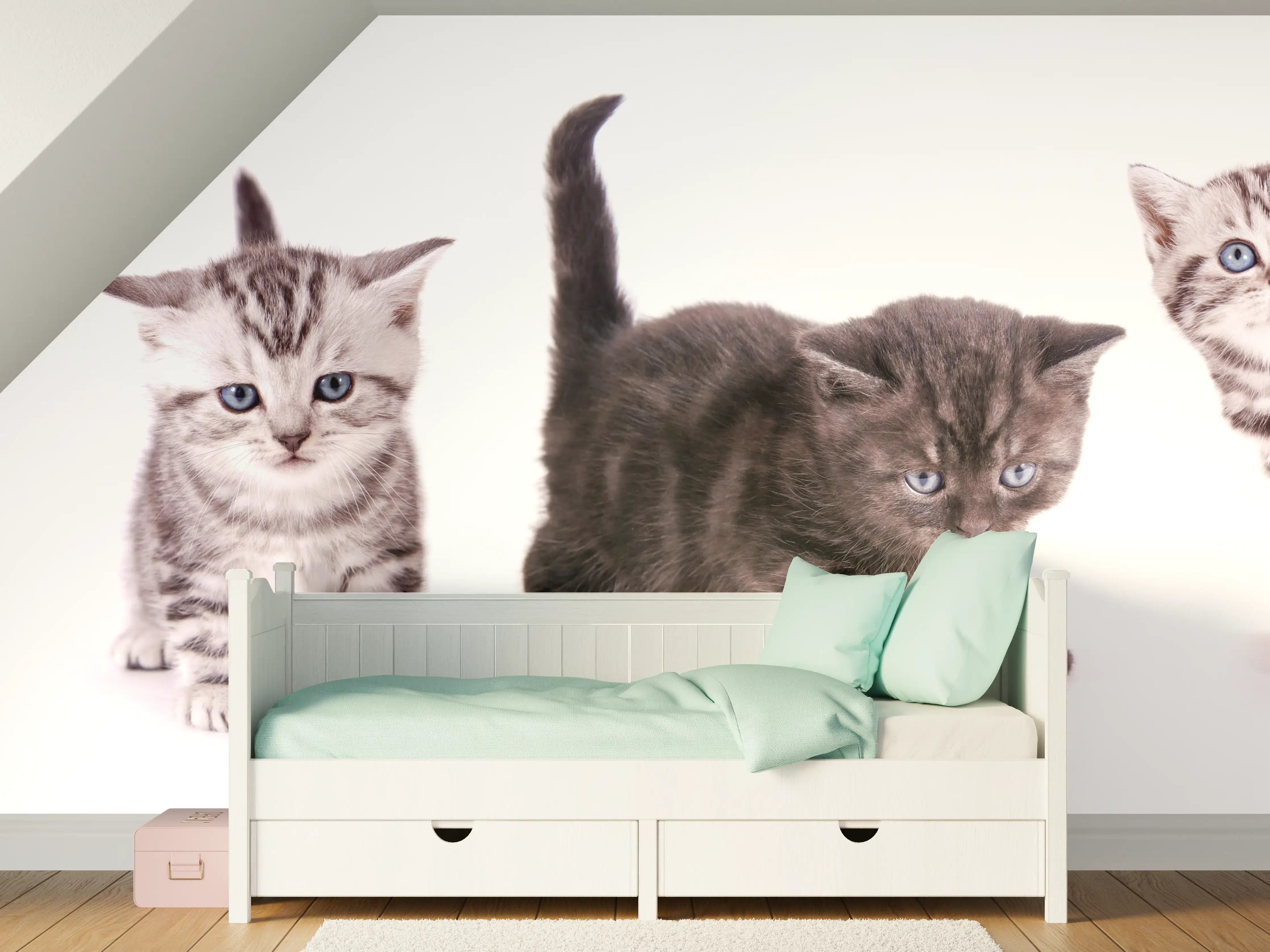 Kinderzimmer Wandgestaltung - Süße Britisch Kurzhaar Kätzchen