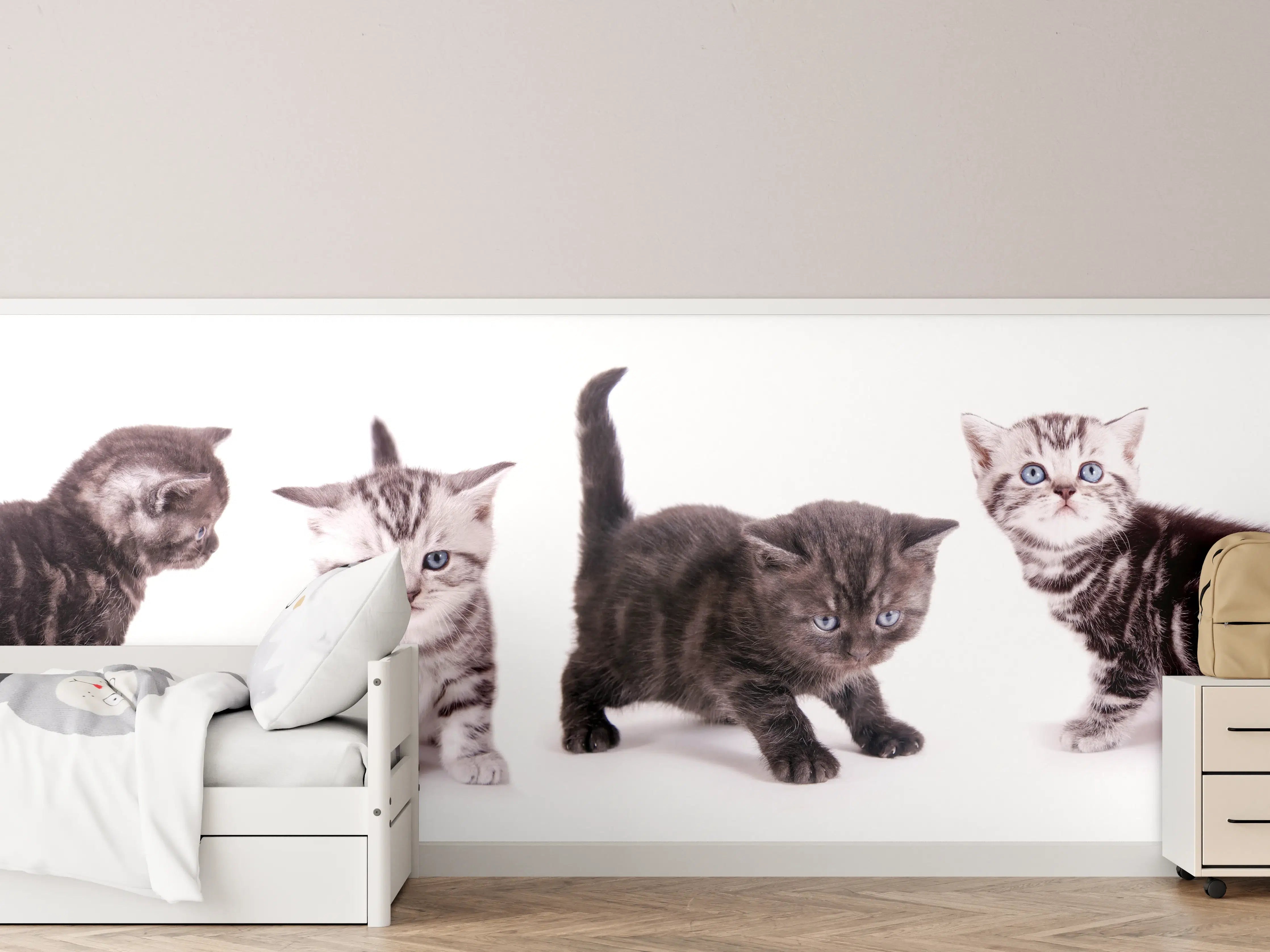 Kinderzimmer Wandgestaltung - Süße Britisch Kurzhaar Kätzchen