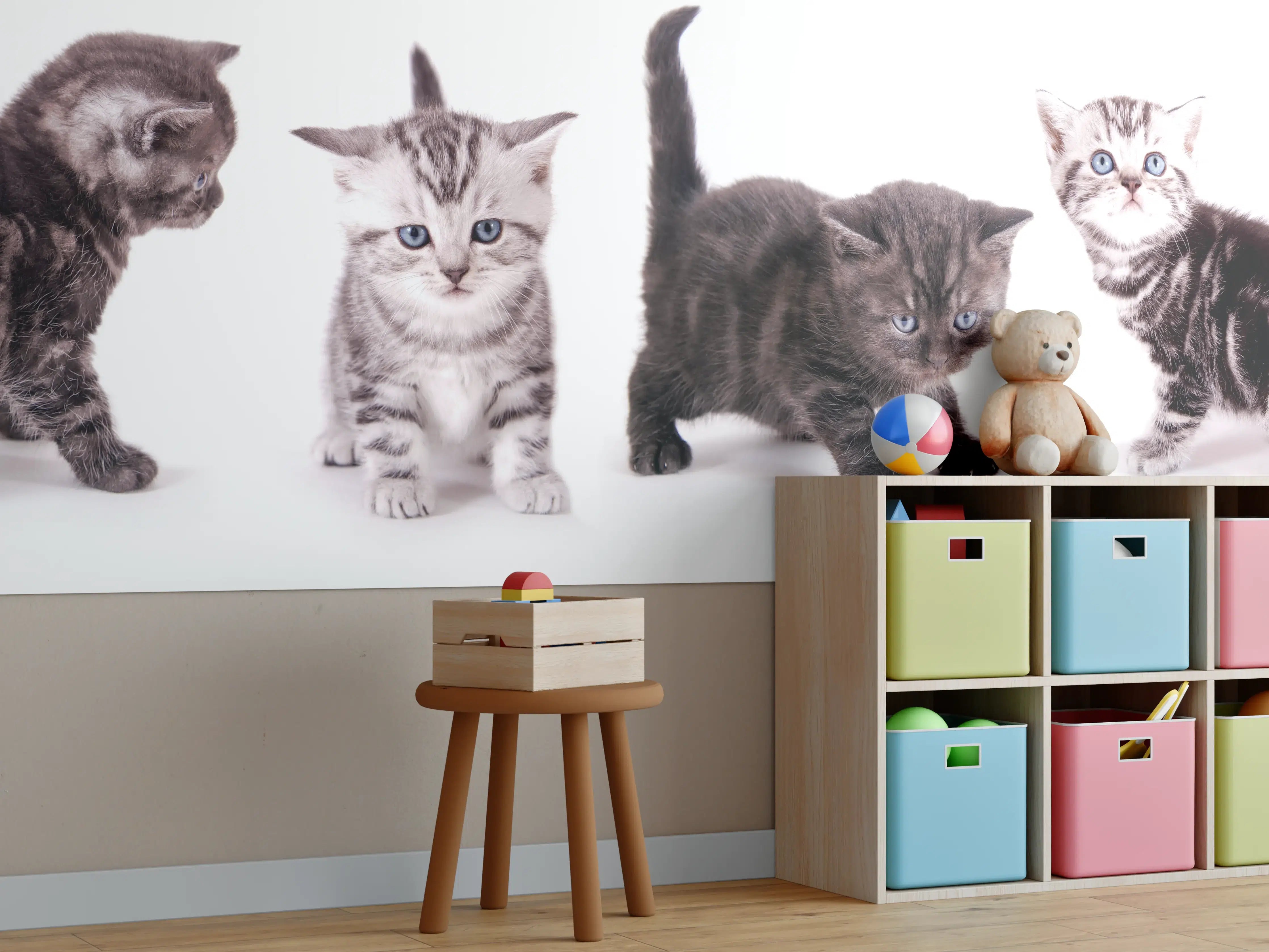Kinderzimmer Wandgestaltung - Süße Britisch Kurzhaar Kätzchen