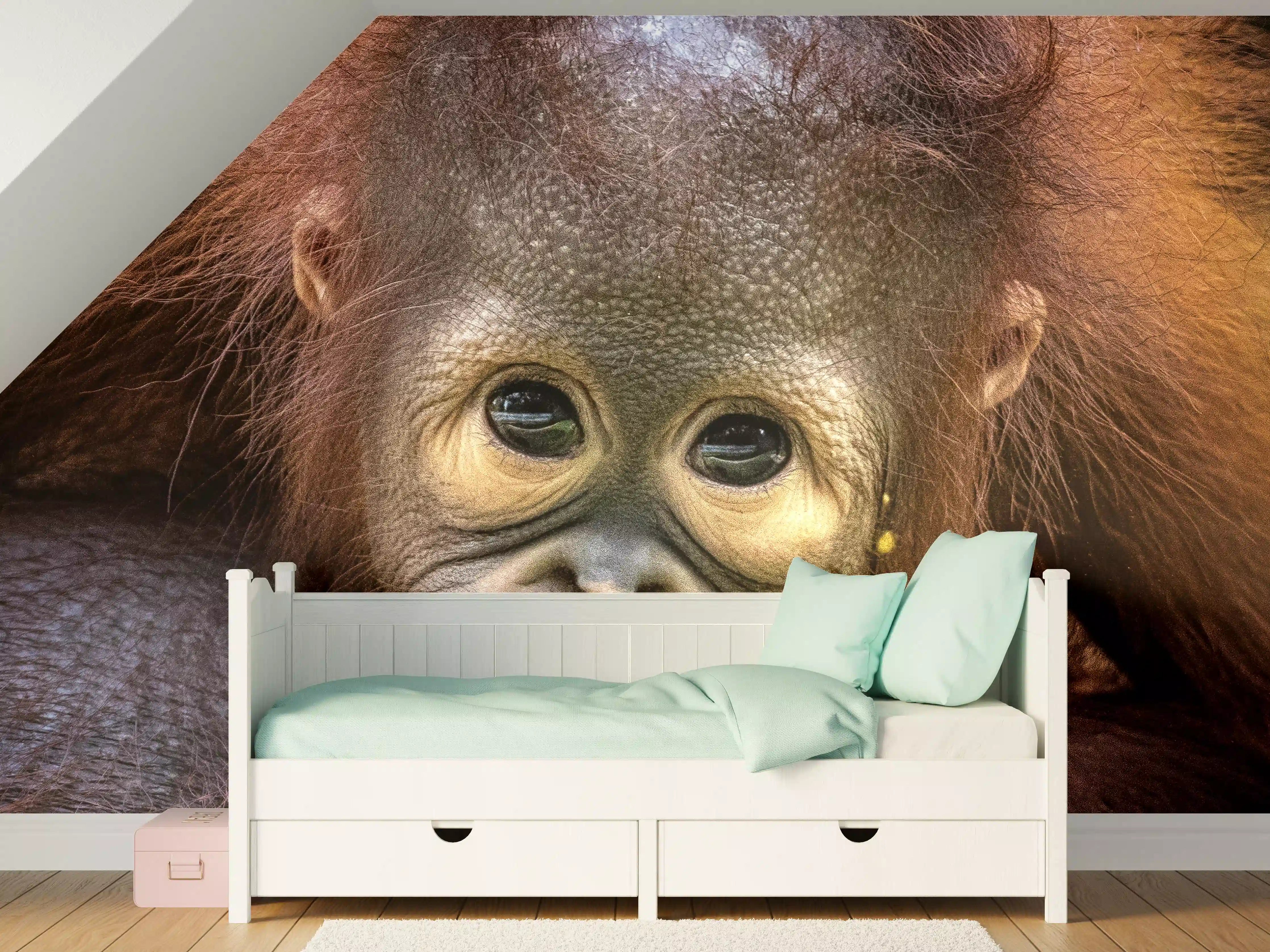 Kinderzimmer Wandgestaltung - Süßer Affenjunges mit neugierigem Blick