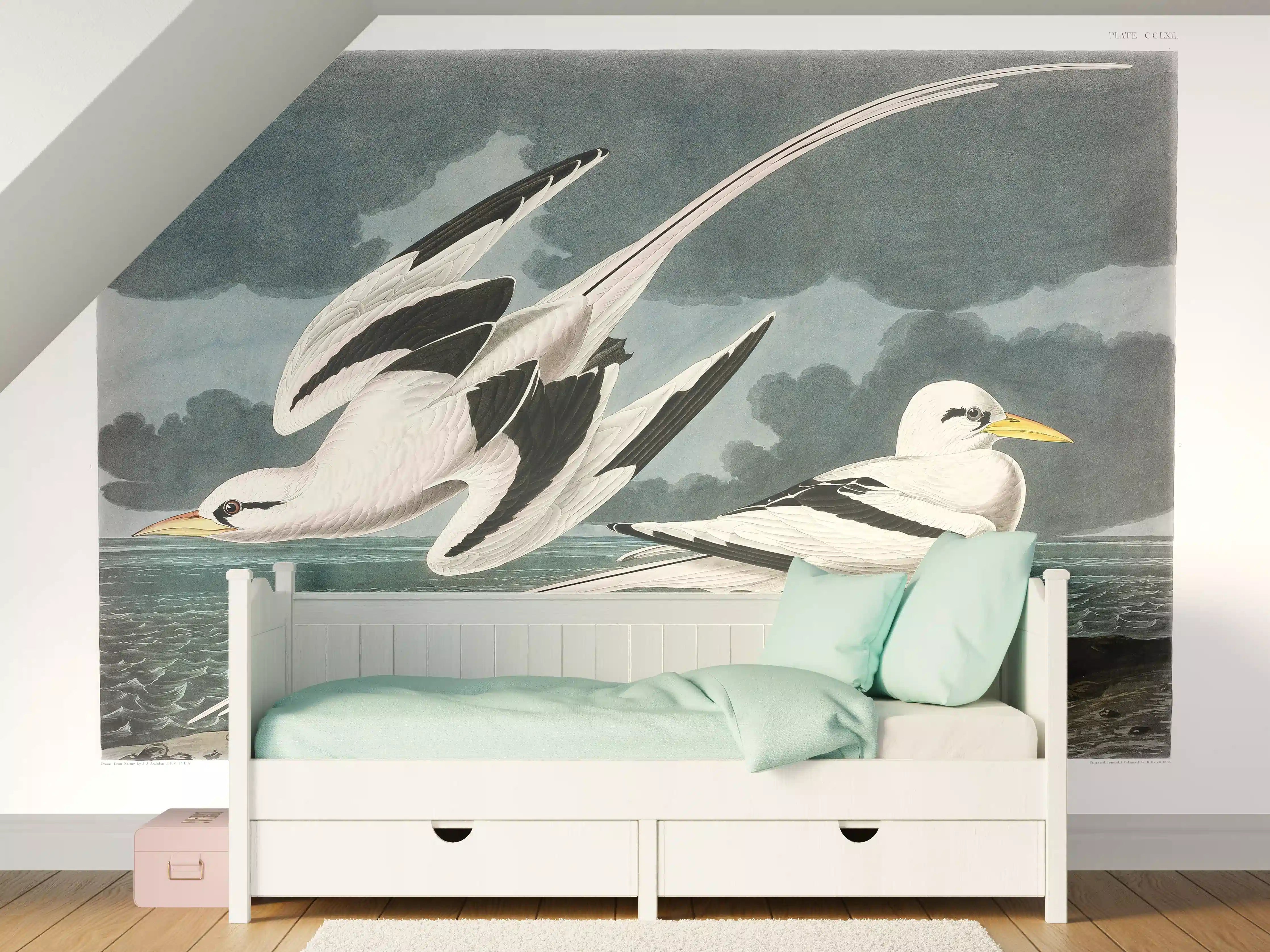 Kinderzimmer Wandgestaltung - Tropische Vögel - John James Audubon
