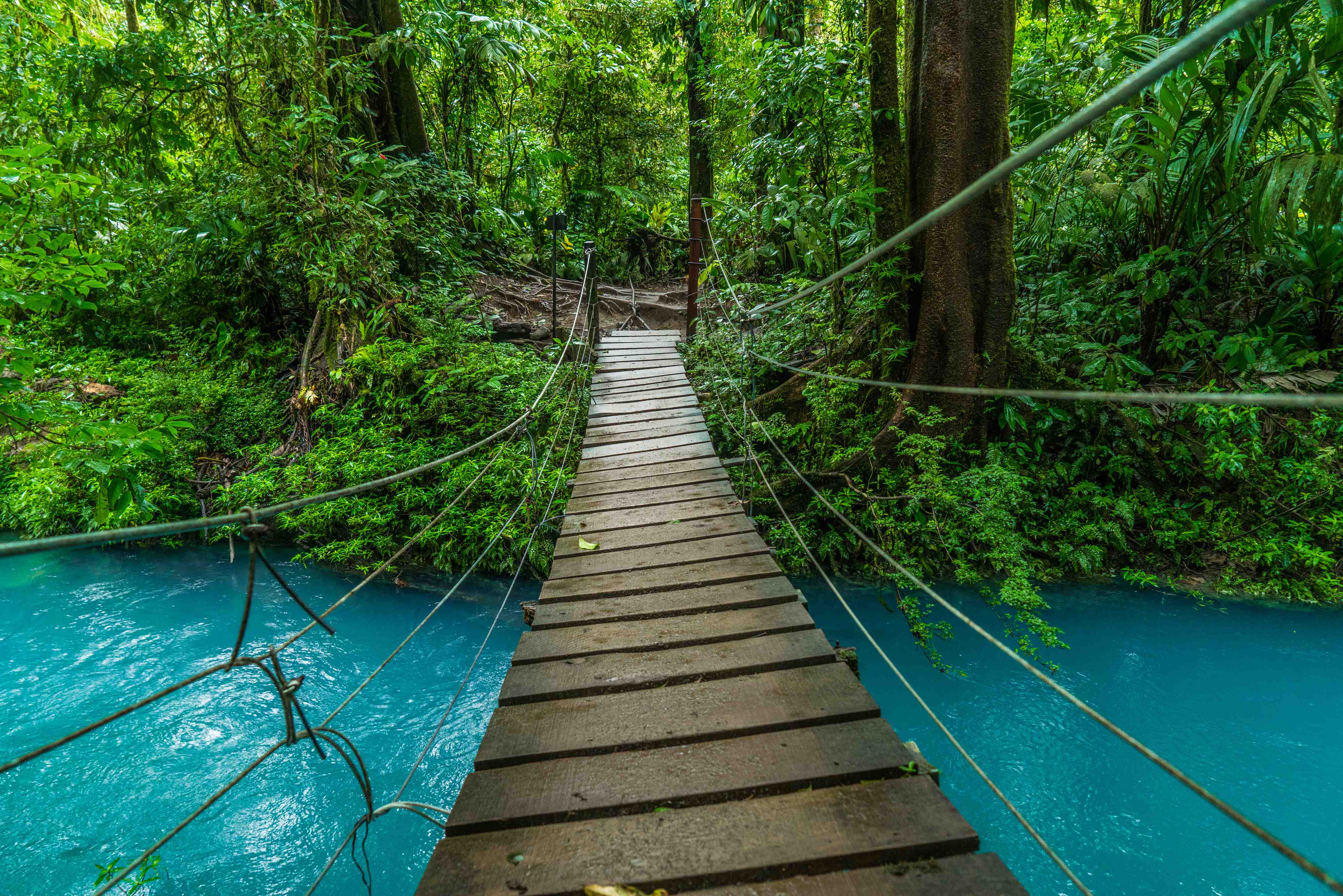 Kinderzimmer Wandgestaltung-Türkisblaues Flusswandern Costa Rica