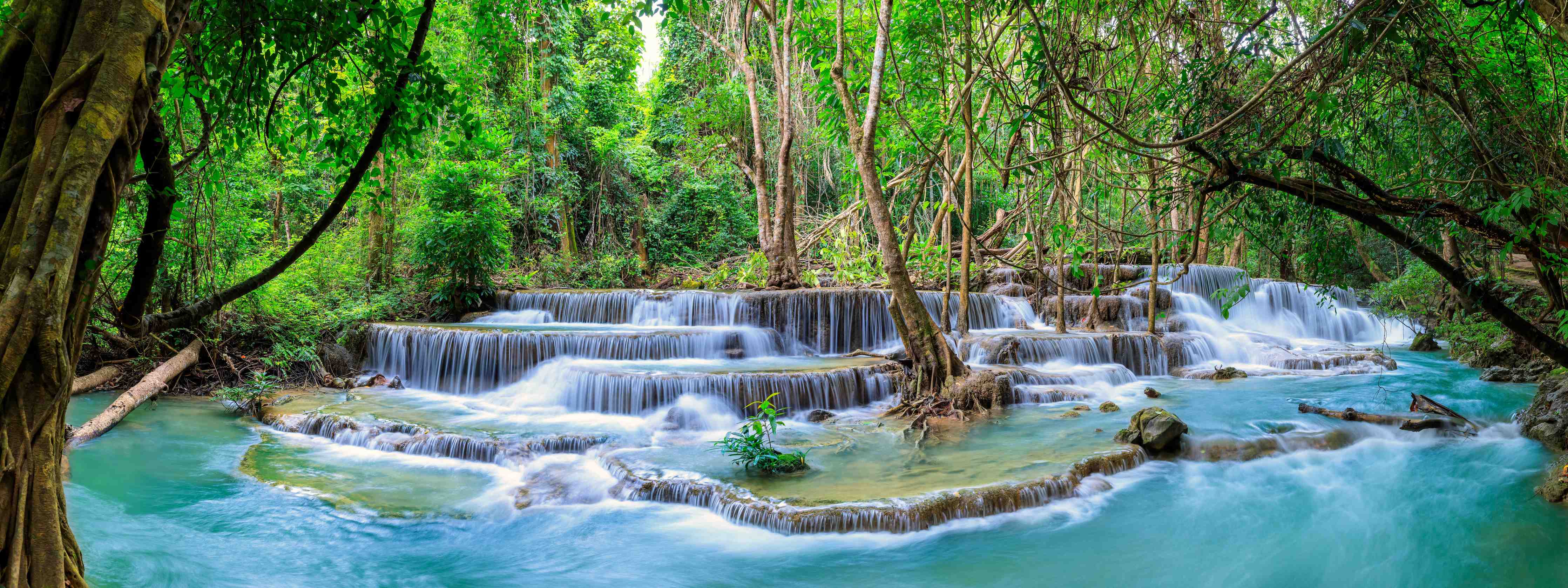 Kinderzimmer Wandgestaltung-Türkisgrüner Dschungel-Wasserfall