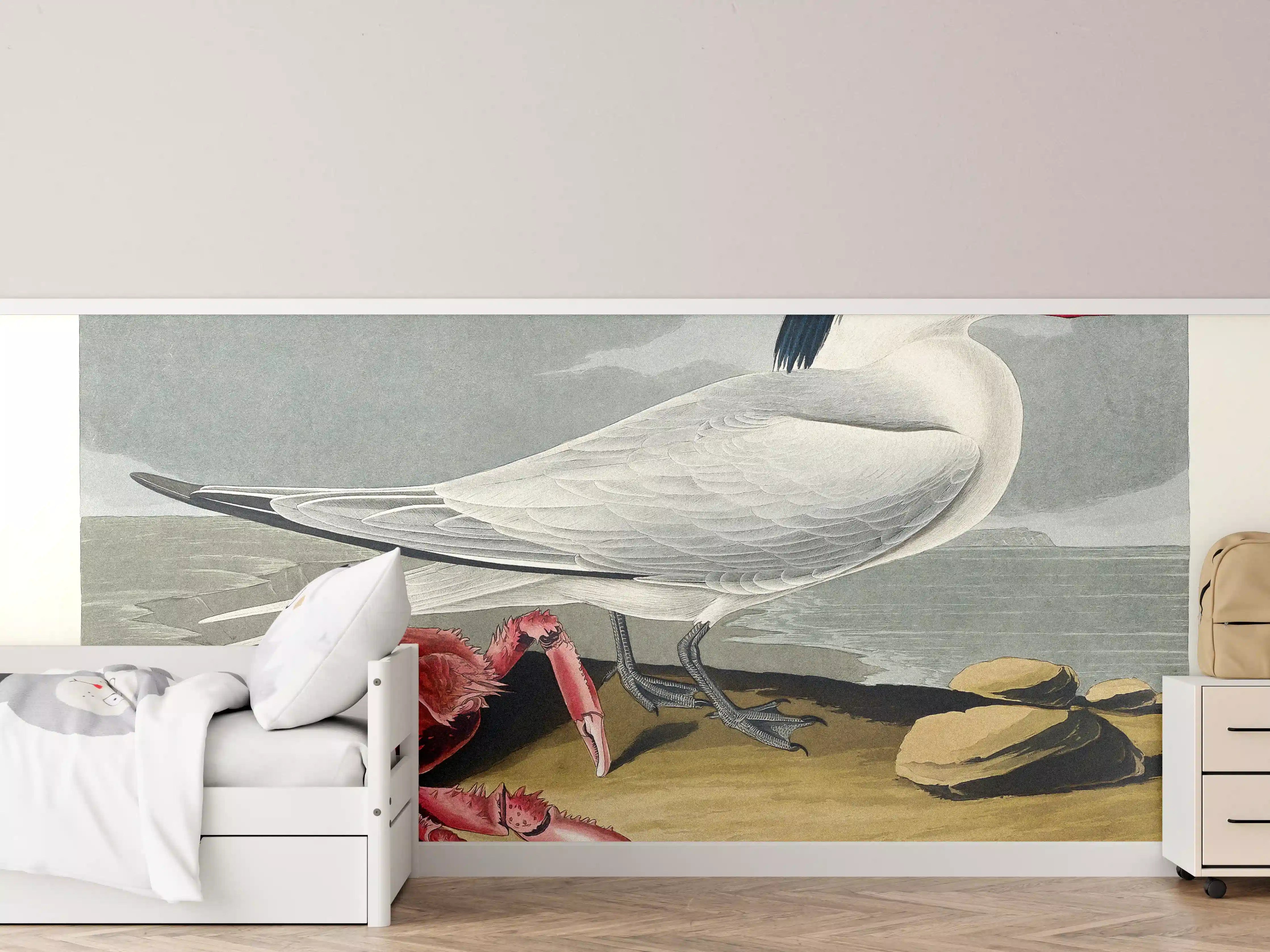 Kinderzimmer Wandgestaltung - Vogel Portrait - Robert Havell