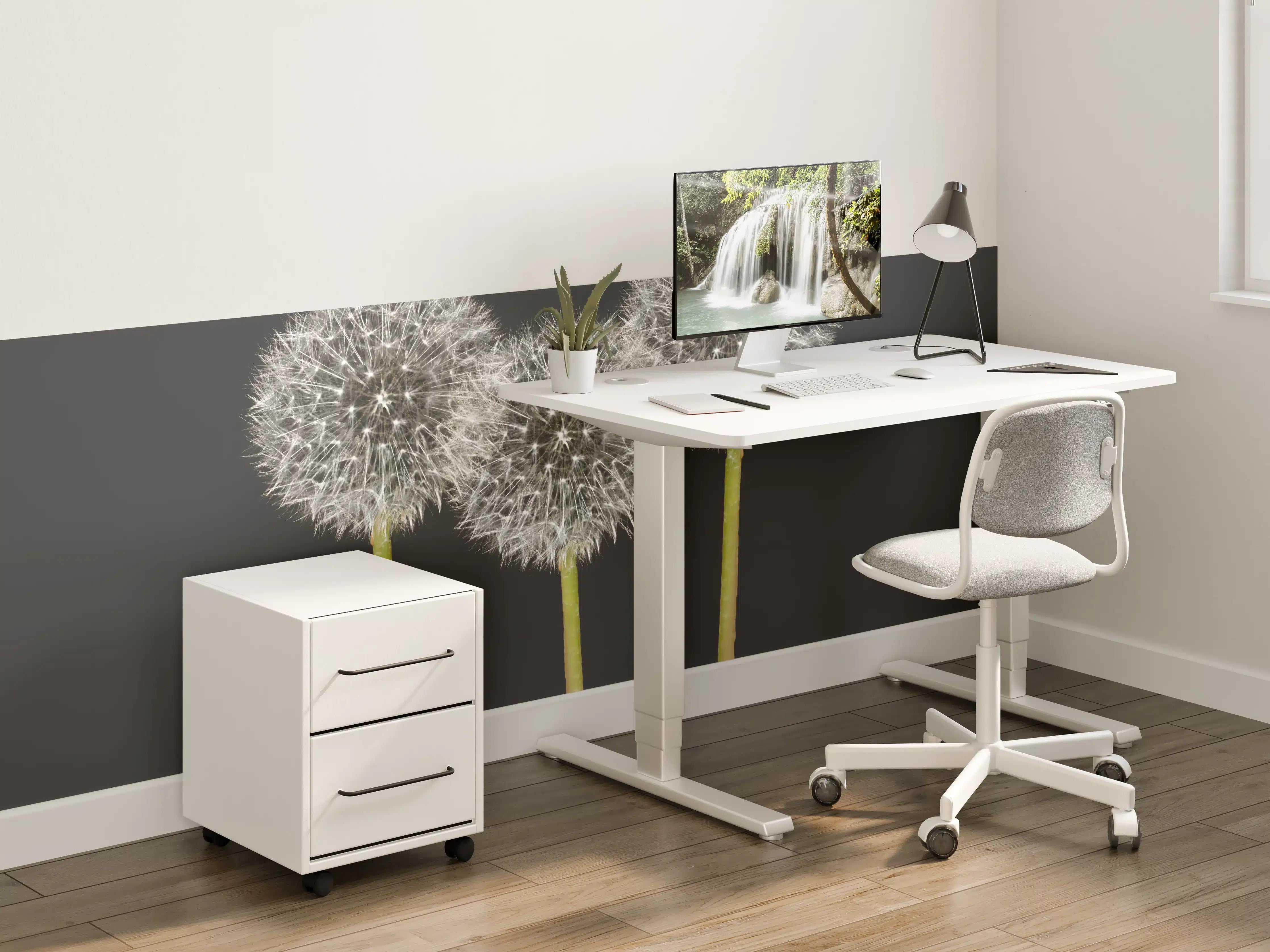 Kinderzimmer Wandgestaltung - Weiße Pusteblumen auf Schwarz