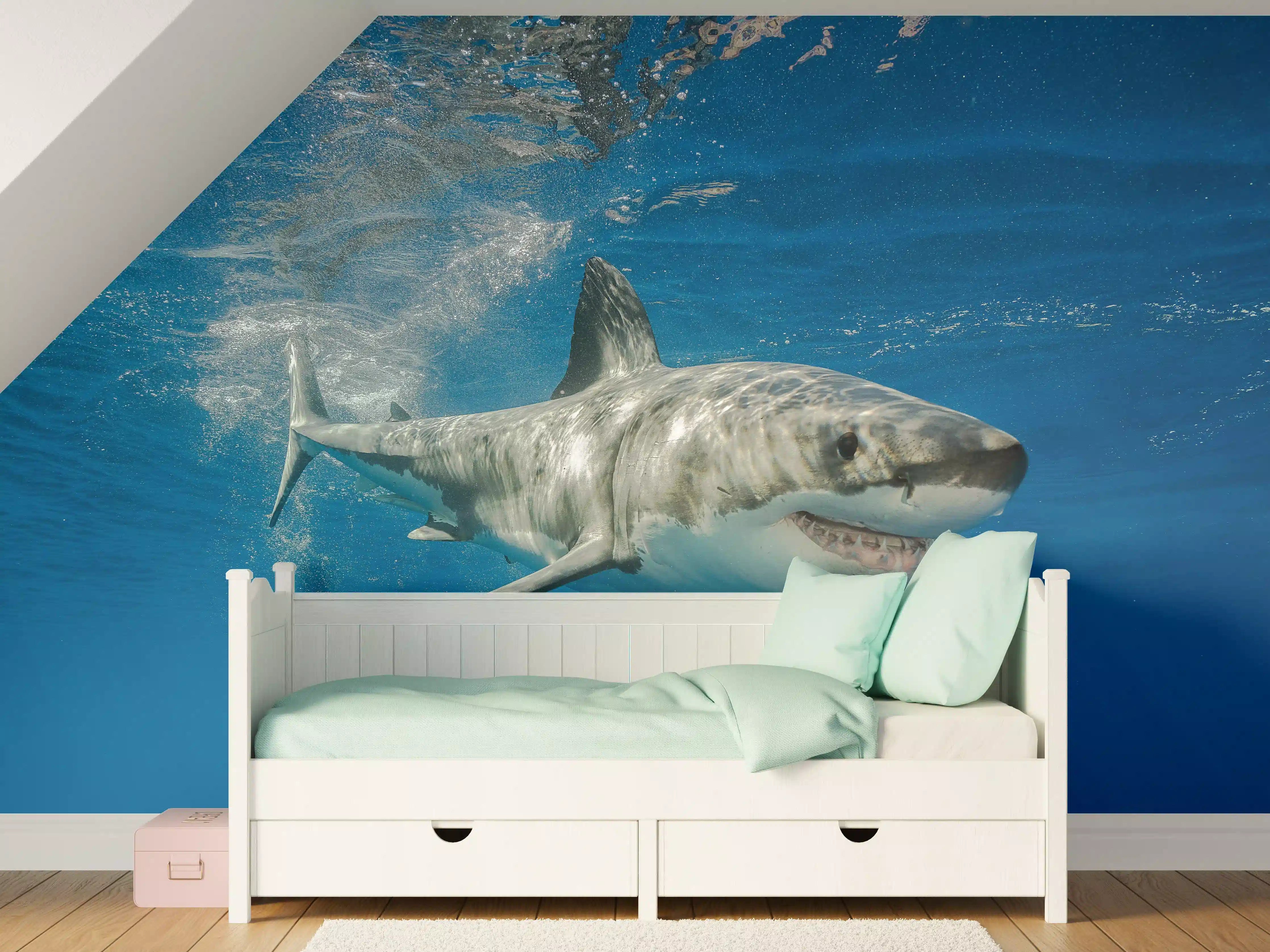 Kinderzimmer Wandgestaltung - Weißer Hai in Unterwasseransicht