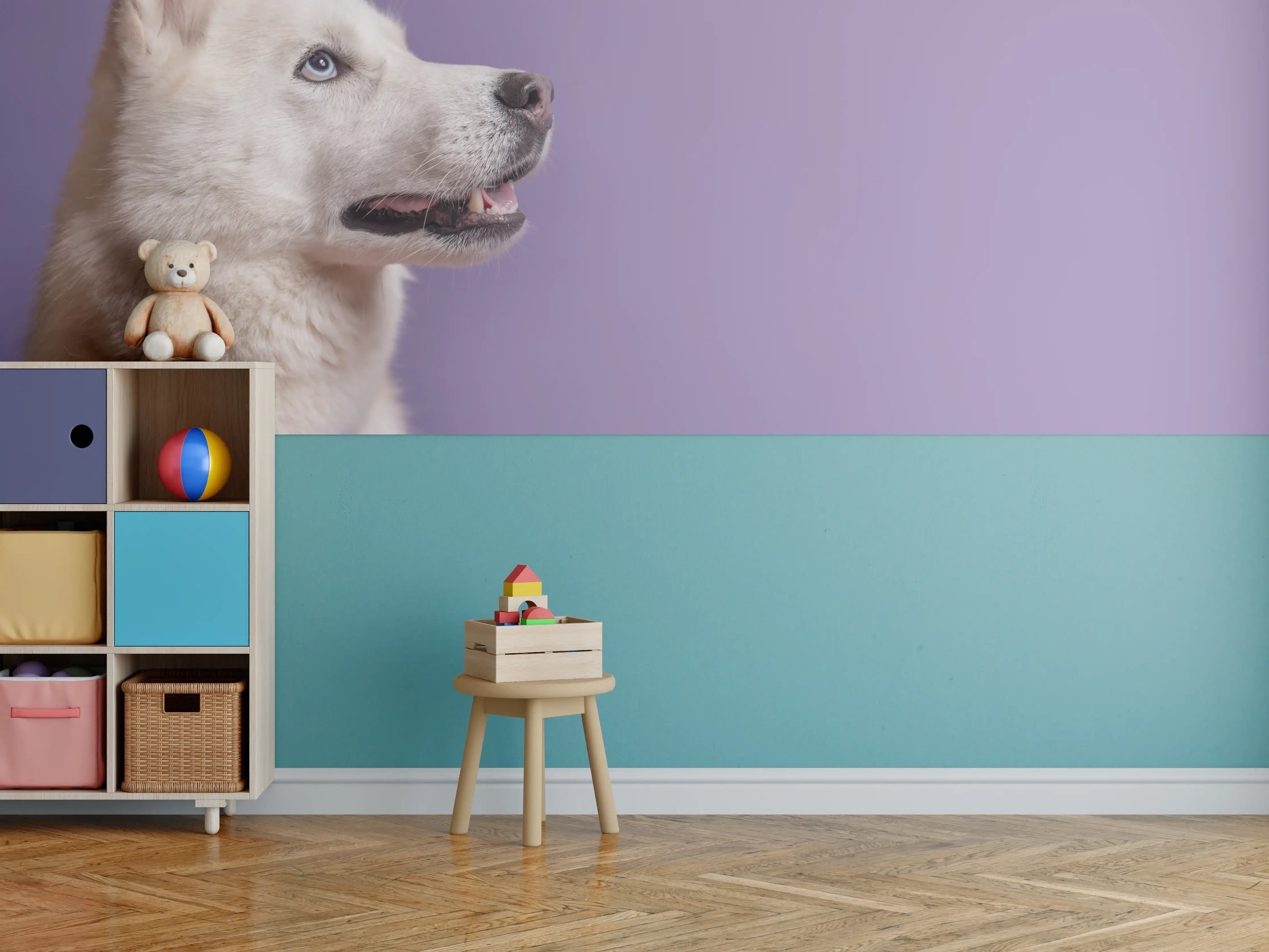 Kinderzimmer Wandgestaltung - Weißer sibirischer Husky Hund mit violetter Fliege