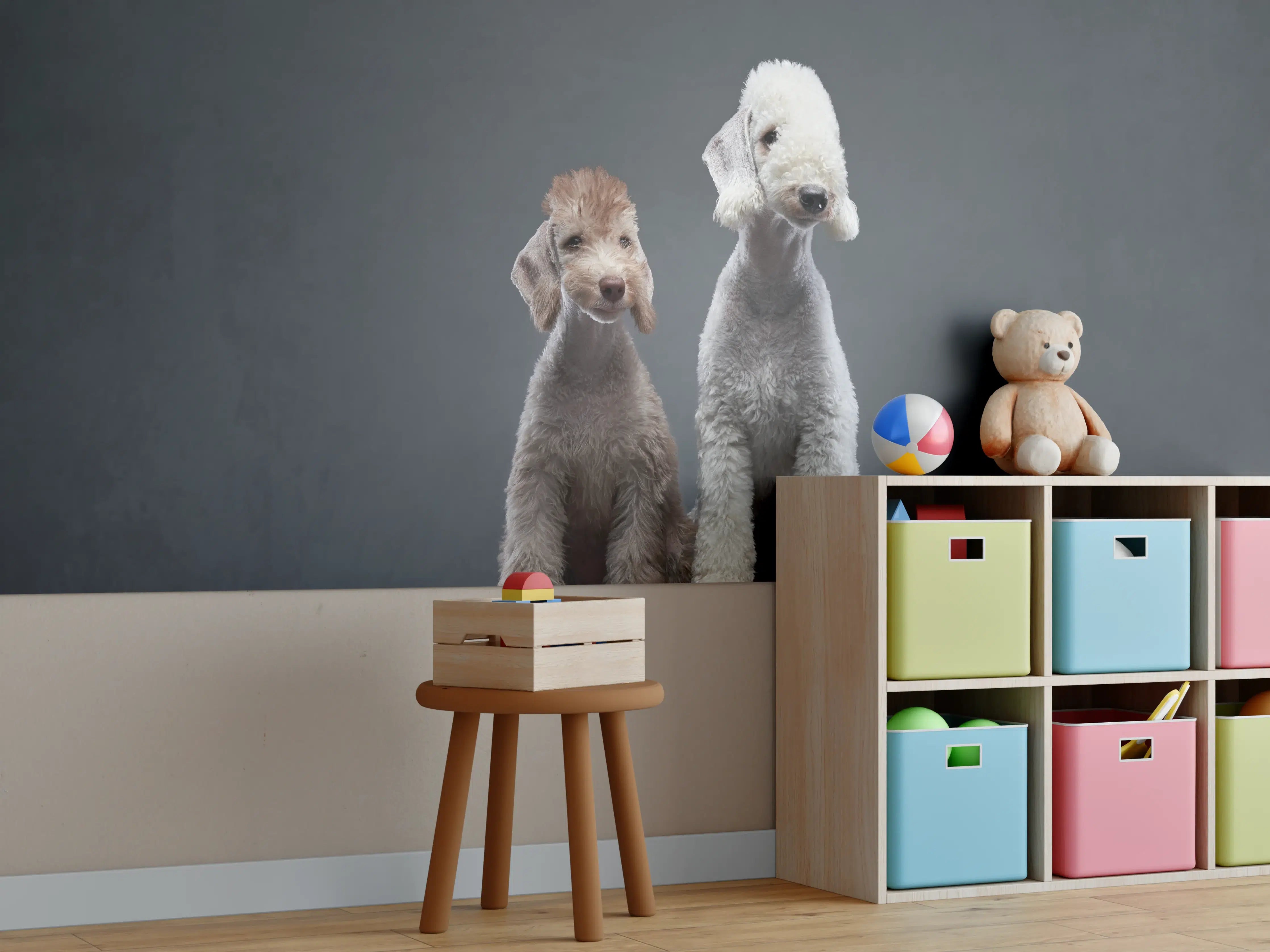 Kinderzimmer Wandgestaltung - Welpe und erwachsener Bedlington Terrier