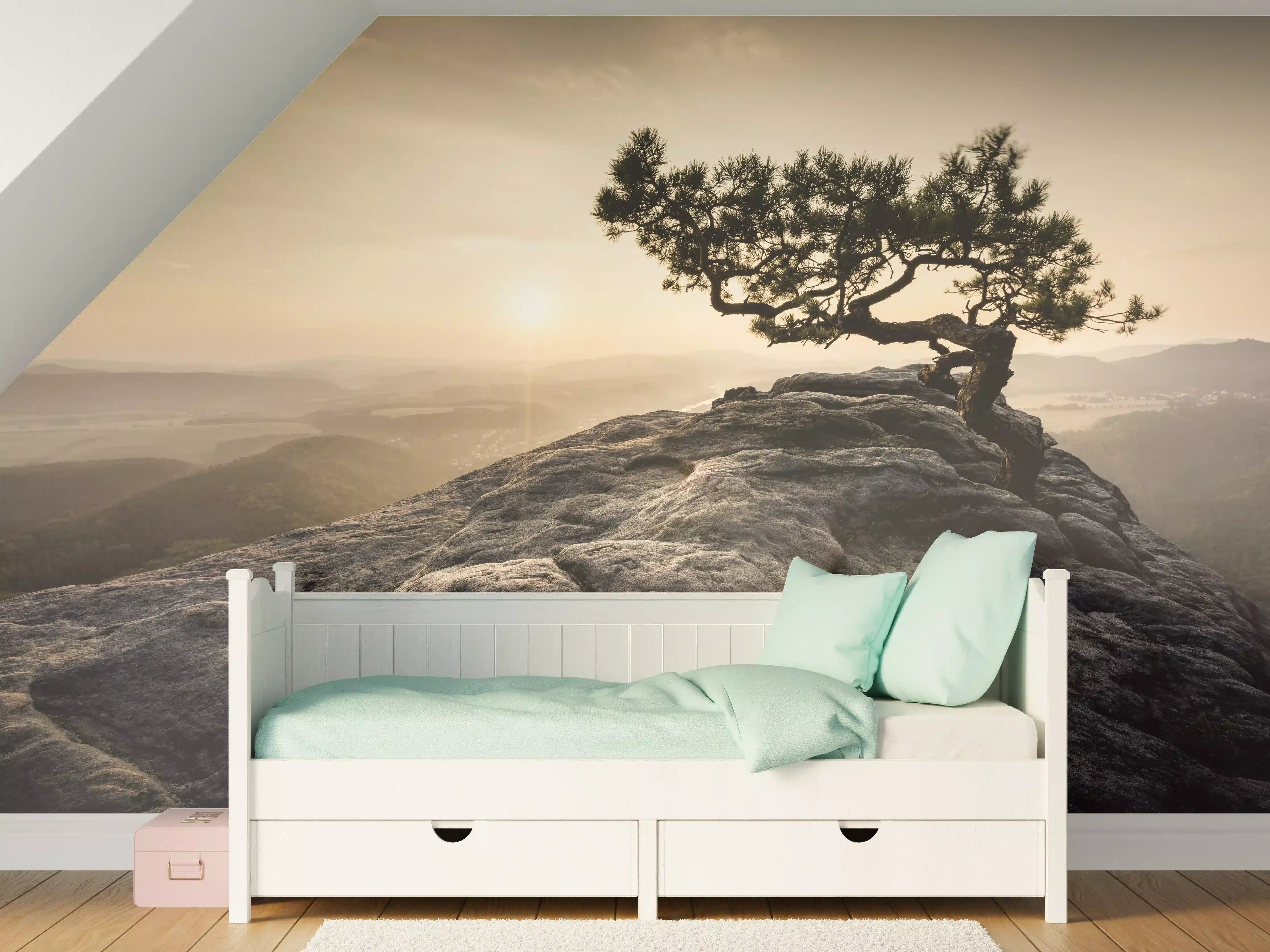 Kinderzimmer Wandgestaltung - alte Kiefer zum Sonnenaufgang - Sächsische Schweiz