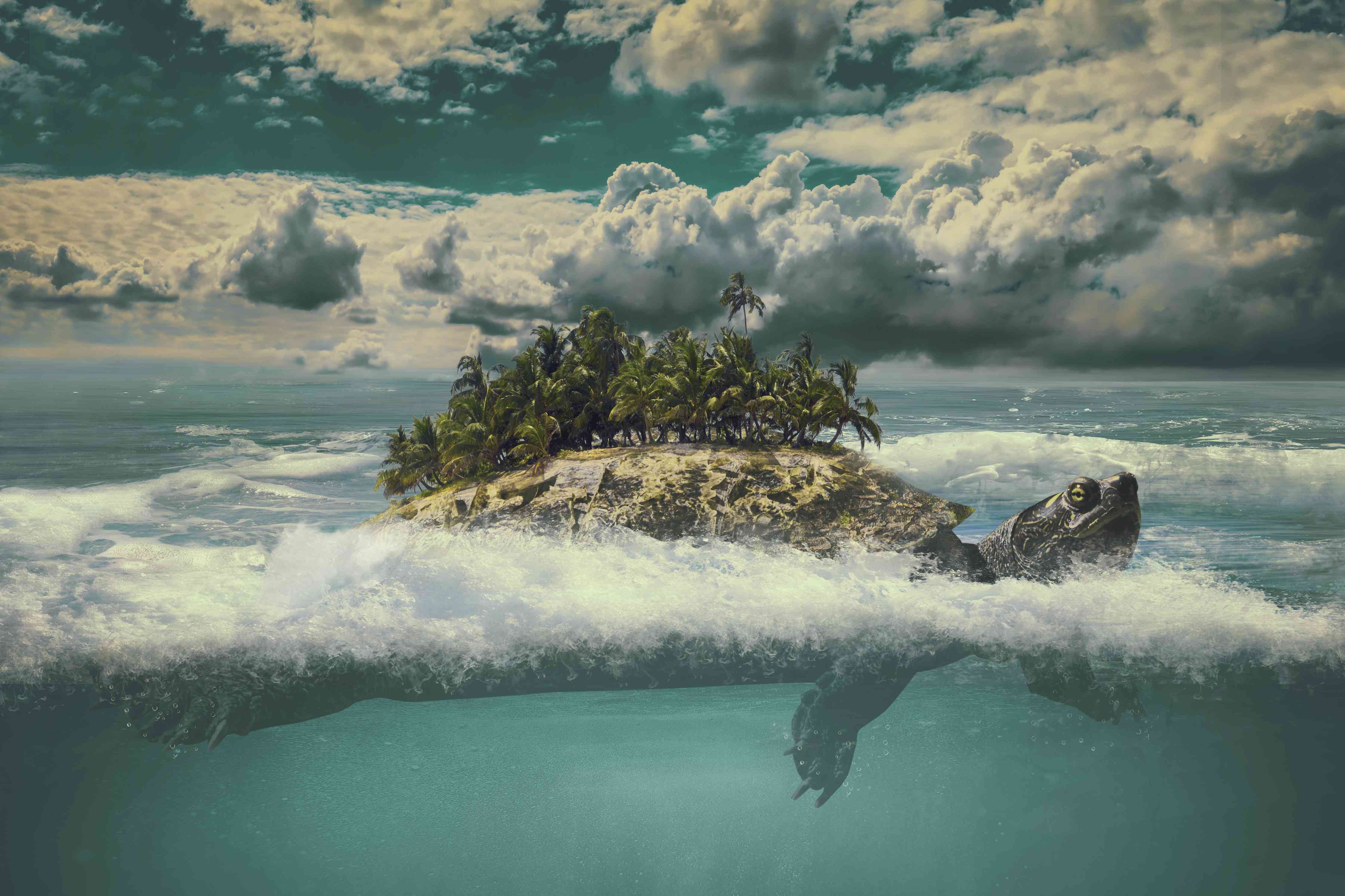 Kinderzimmer Wandgestaltung-tropische Wanderinsel im Meer