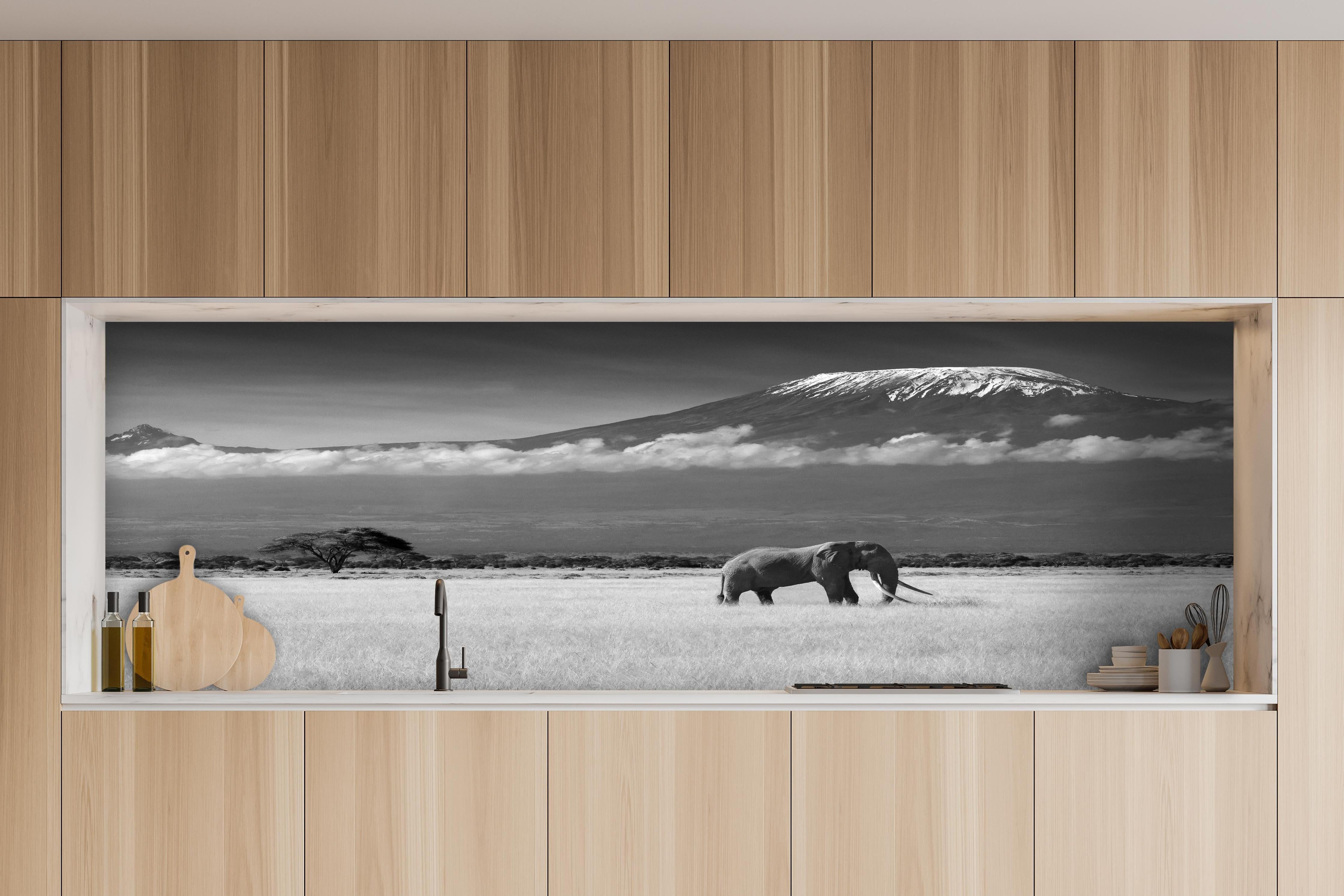 Küche - Afrikanische Landschaft - Schwarz-weiß hinter weißen Hochglanz-Küchenregalen und schwarzem Wasserhahn