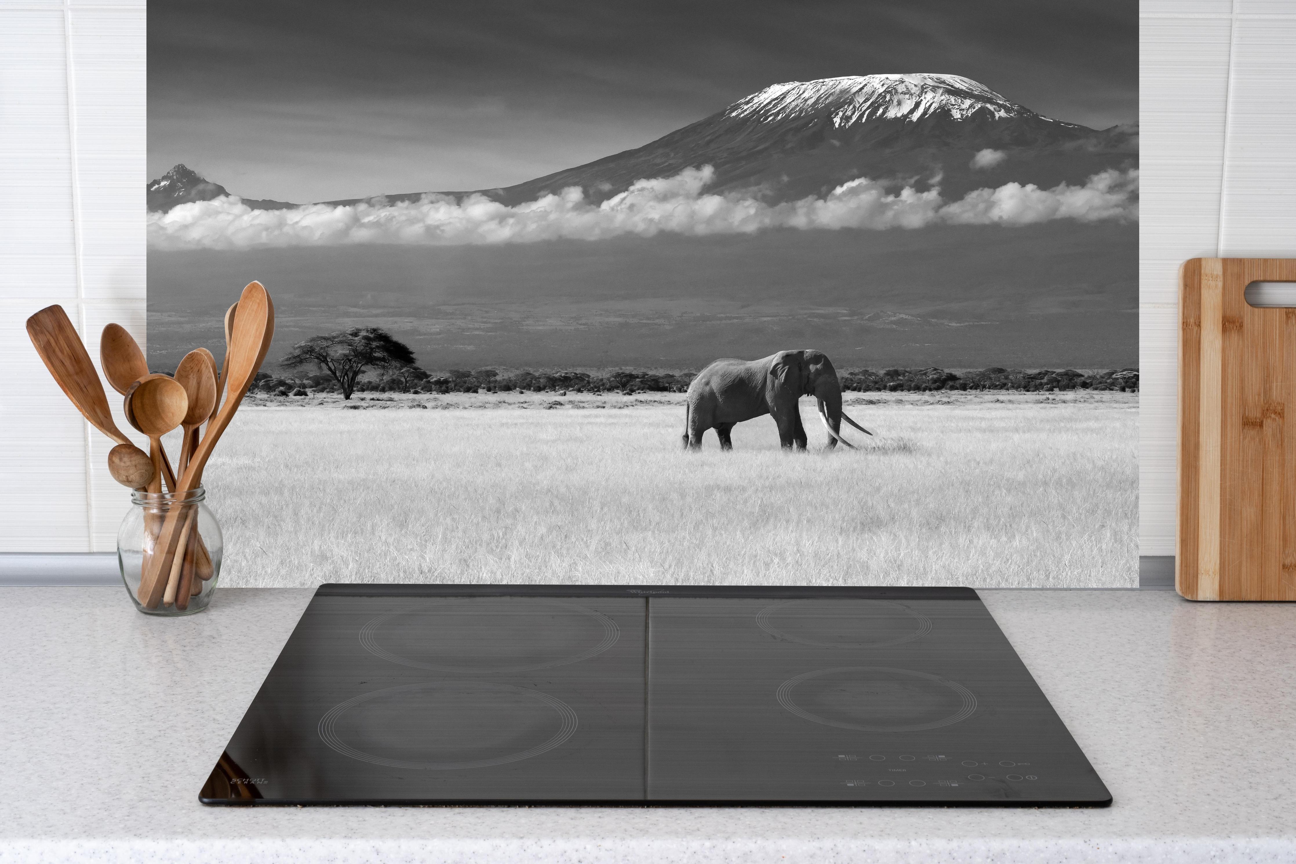 Küche - Afrikanische Landschaft - Schwarz-weiß hinter weißen Hochglanz-Küchenregalen und schwarzem Wasserhahn