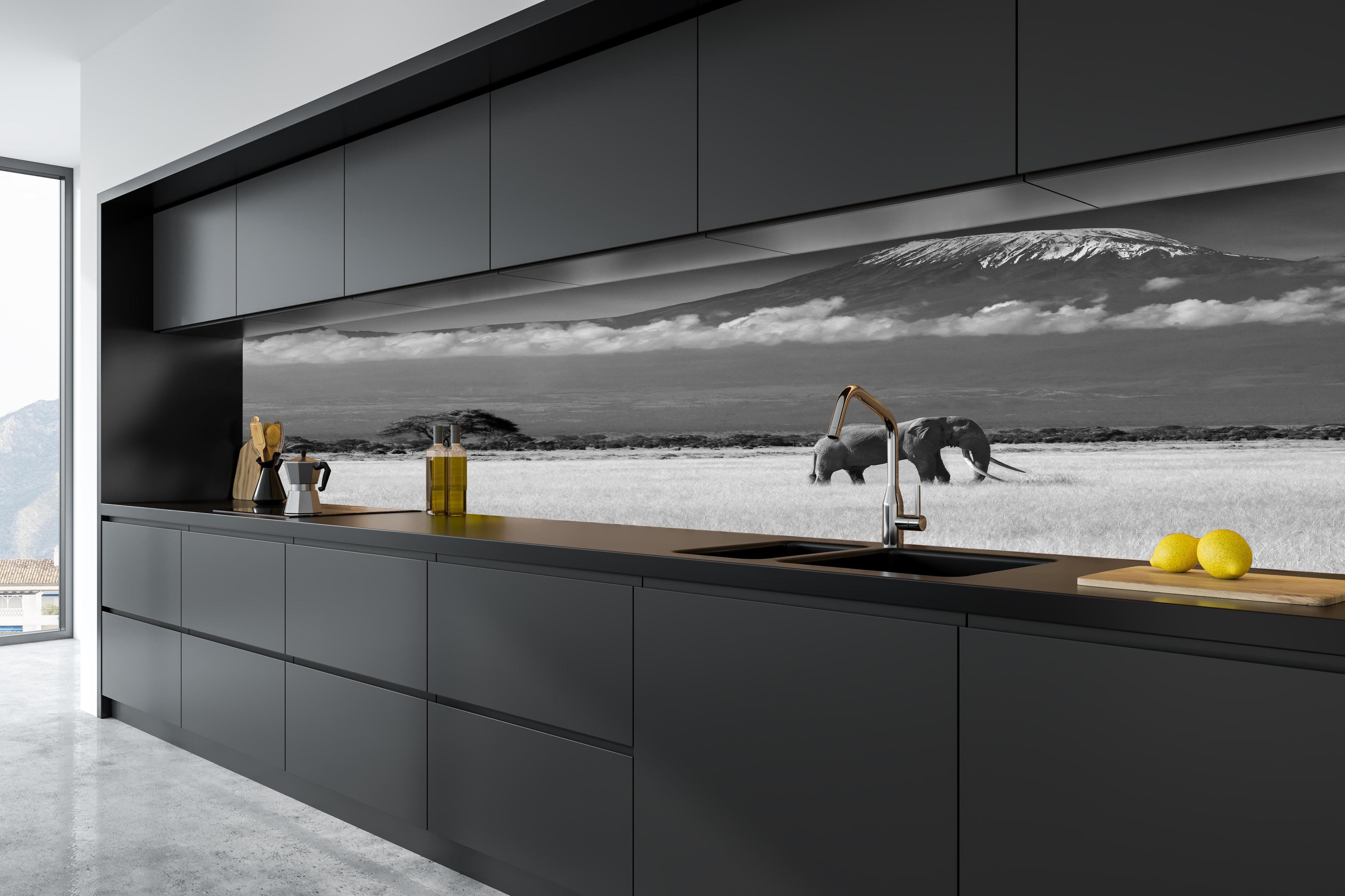 Küche - Afrikanische Landschaft - Schwarz-weiß hinter weißen Hochglanz-Küchenregalen und schwarzem Wasserhahn