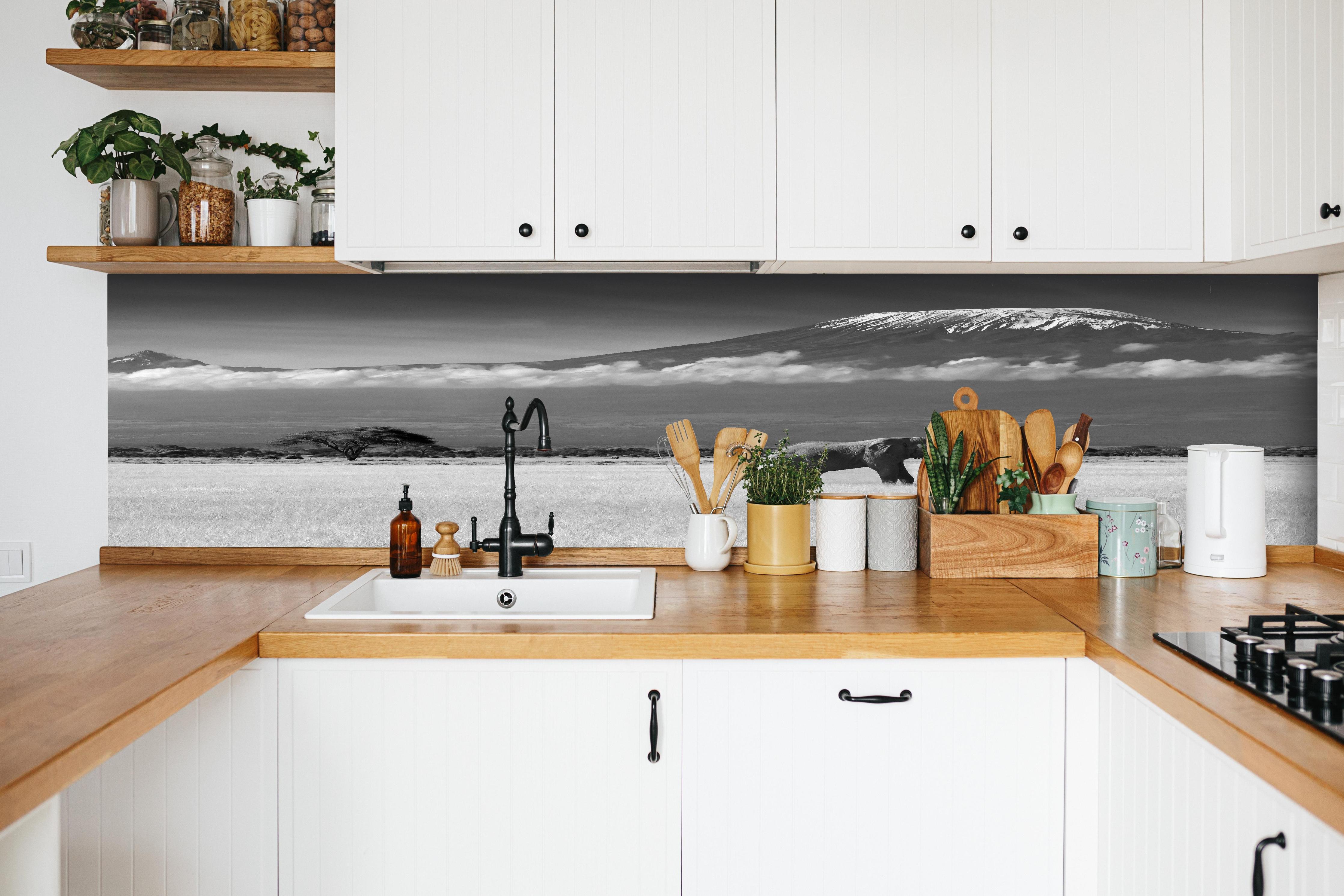 Küche - Afrikanische Landschaft - Schwarz-weiß hinter weißen Hochglanz-Küchenregalen und schwarzem Wasserhahn