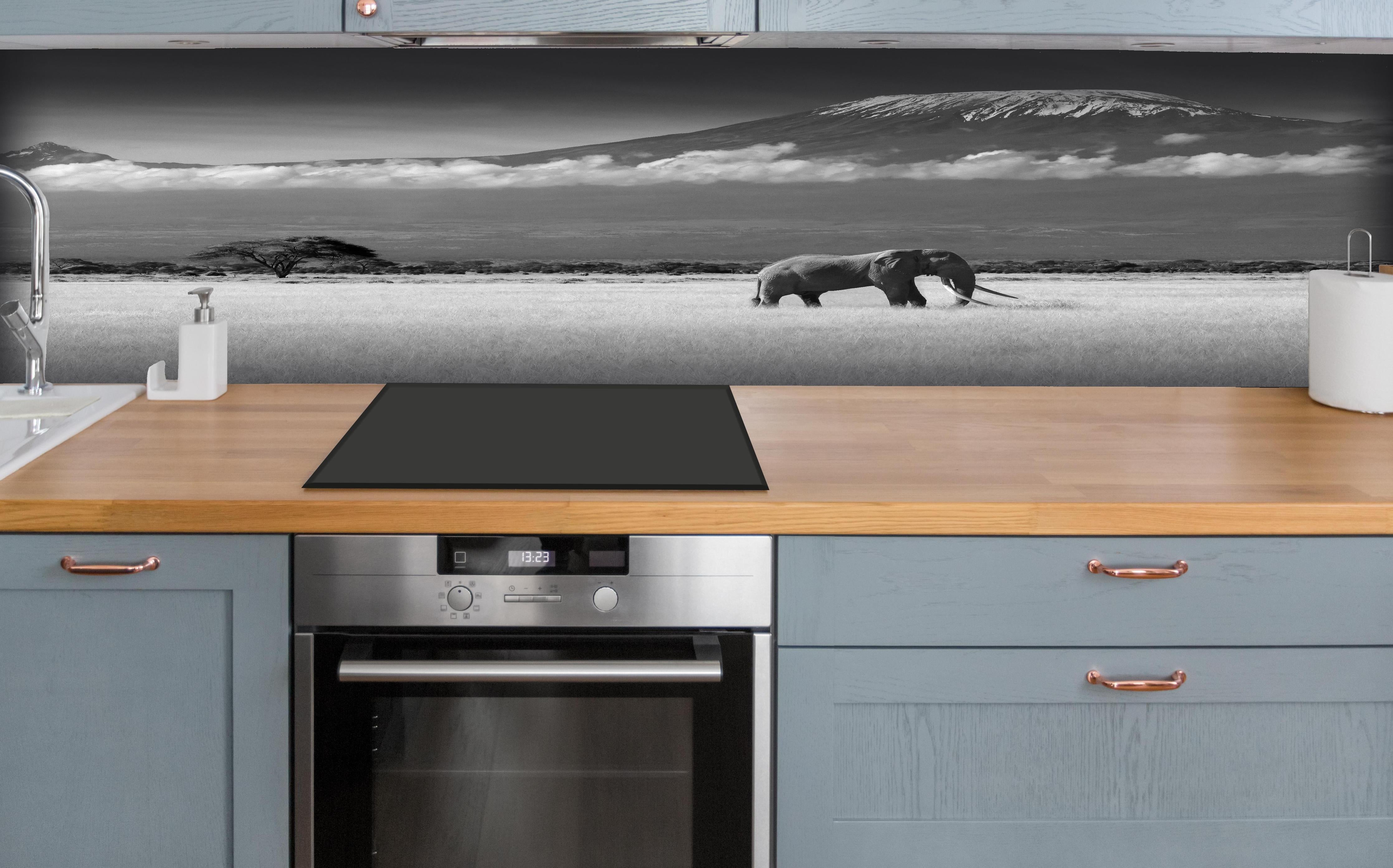 Küche - Afrikanische Landschaft - Schwarz-weiß hinter weißen Hochglanz-Küchenregalen und schwarzem Wasserhahn