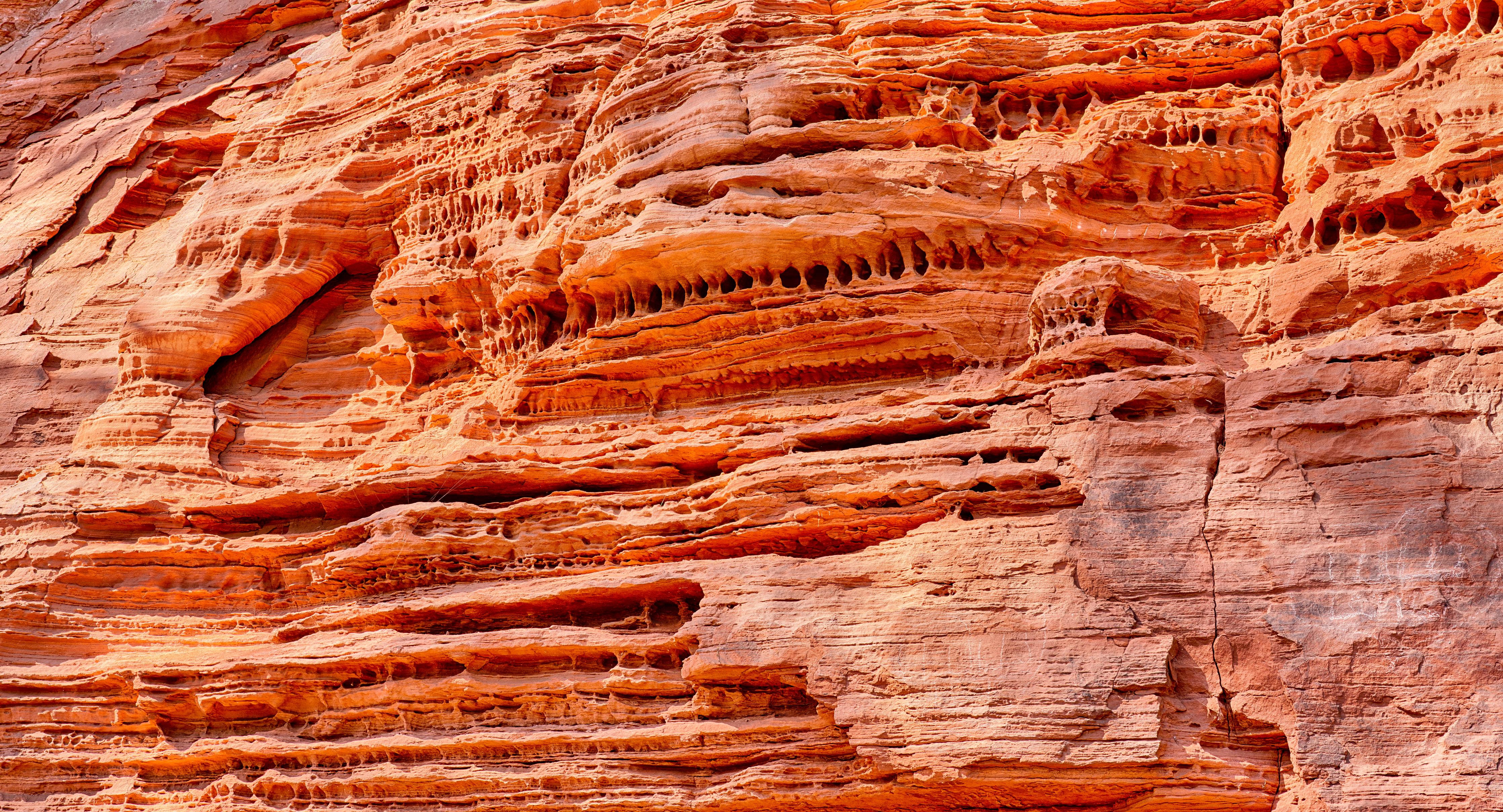 Küchenrückwand-Altschlosspfad im Pirmasens-Land