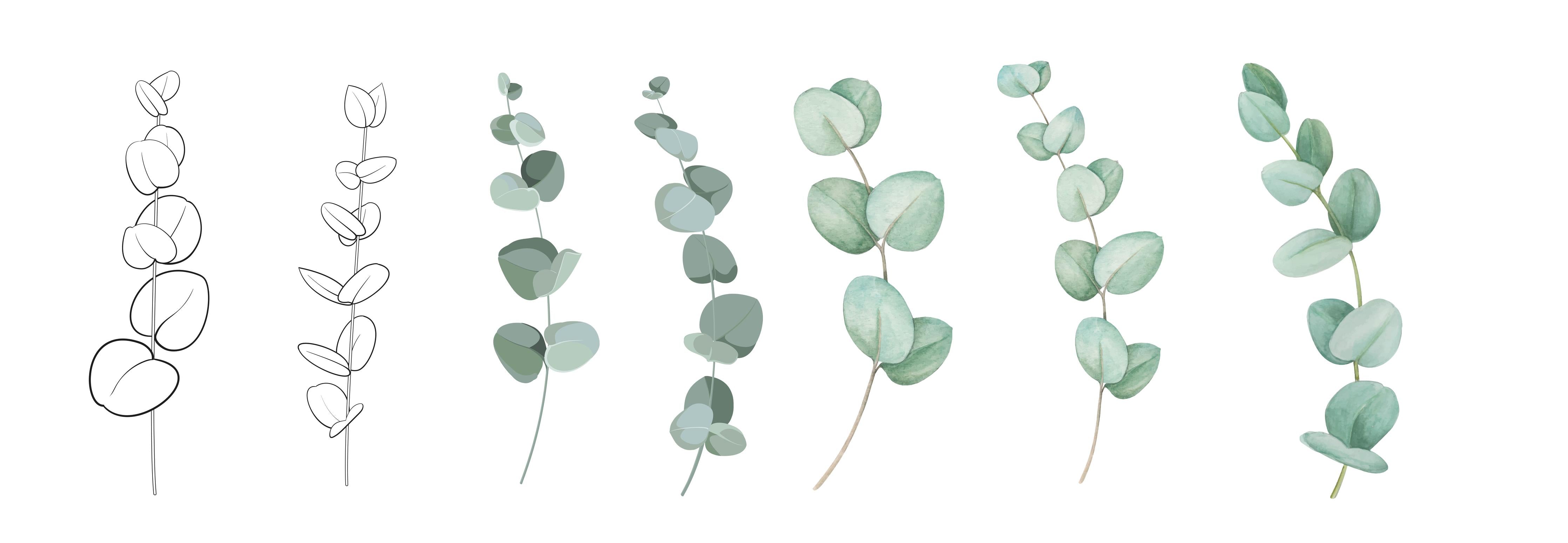 Küchenrückwand-Aquarell Eukalyptus Blätter sanfte Farben