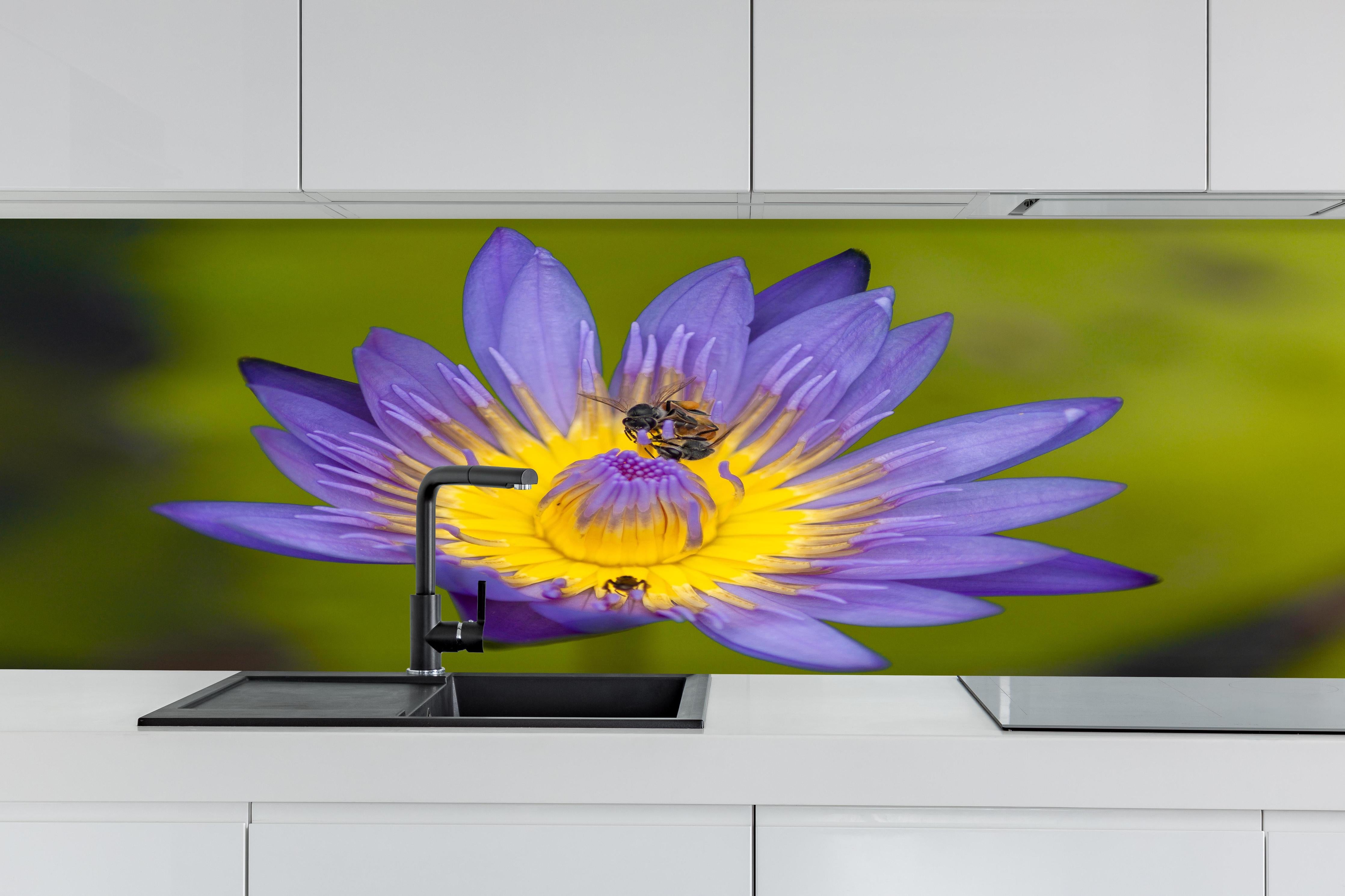 Küche - Biene sammelt Nektar hinter weißen Hochglanz-Küchenregalen und schwarzem Wasserhahn