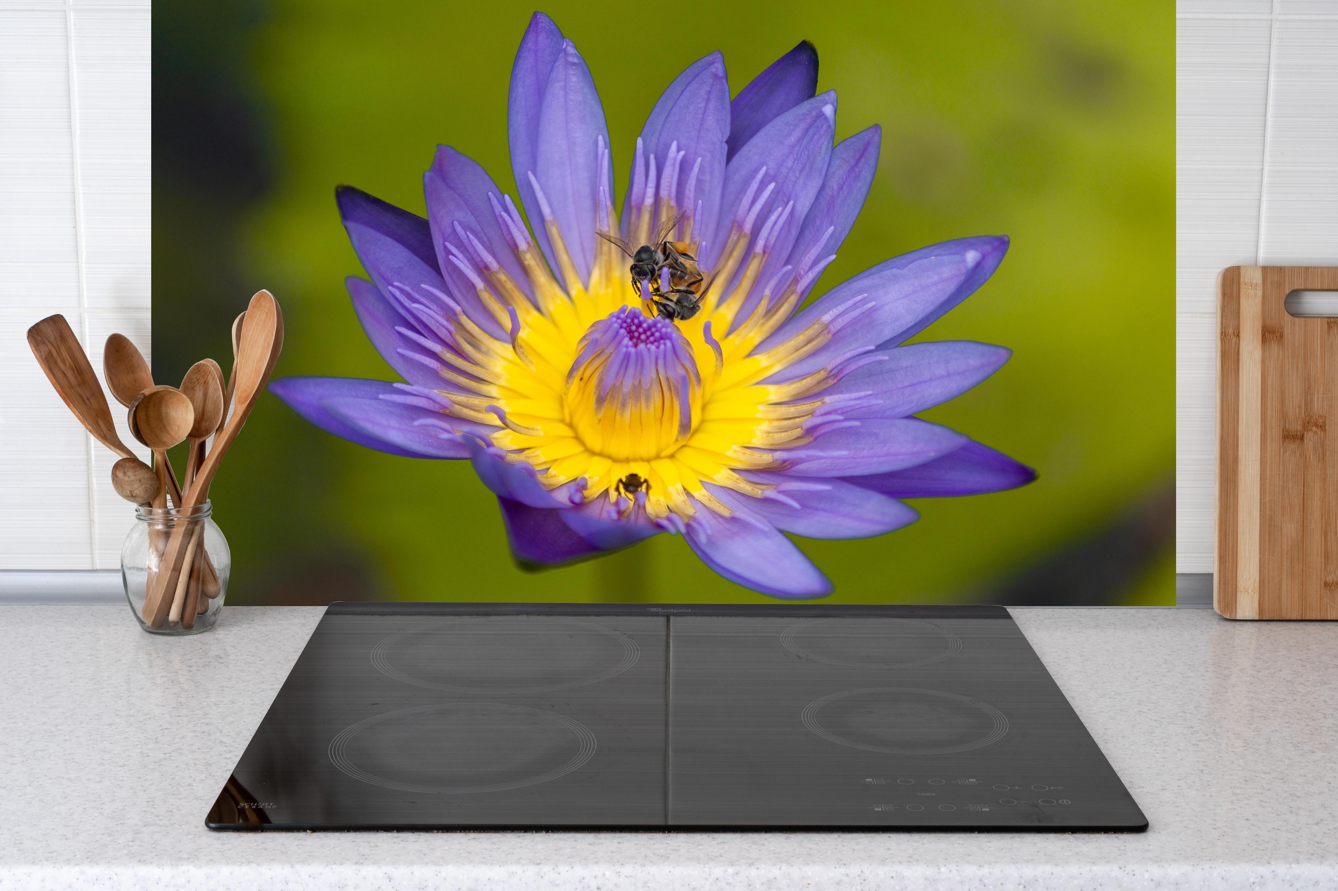 Küche - Biene sammelt Nektar hinter weißen Hochglanz-Küchenregalen und schwarzem Wasserhahn