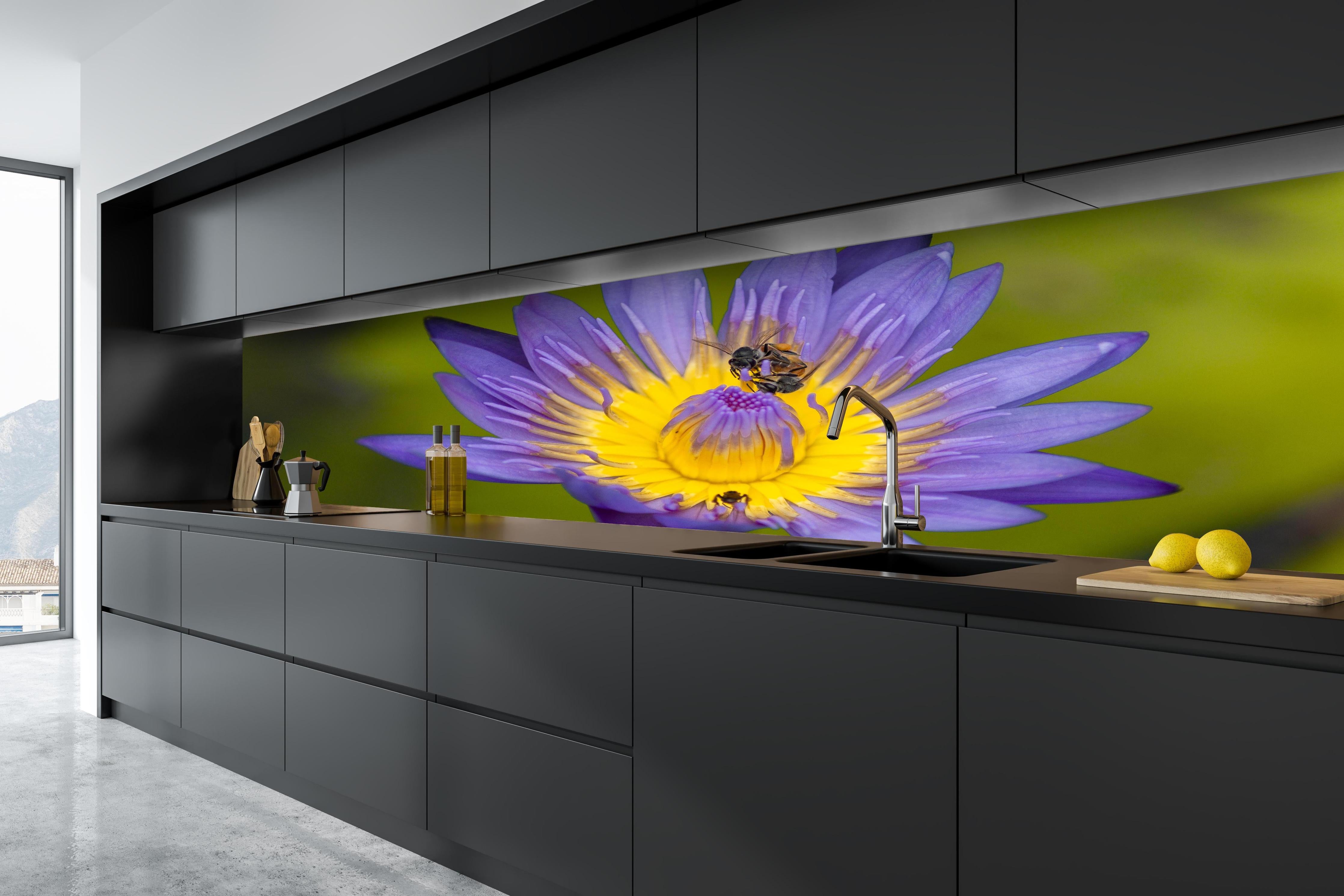 Küche - Biene sammelt Nektar hinter weißen Hochglanz-Küchenregalen und schwarzem Wasserhahn