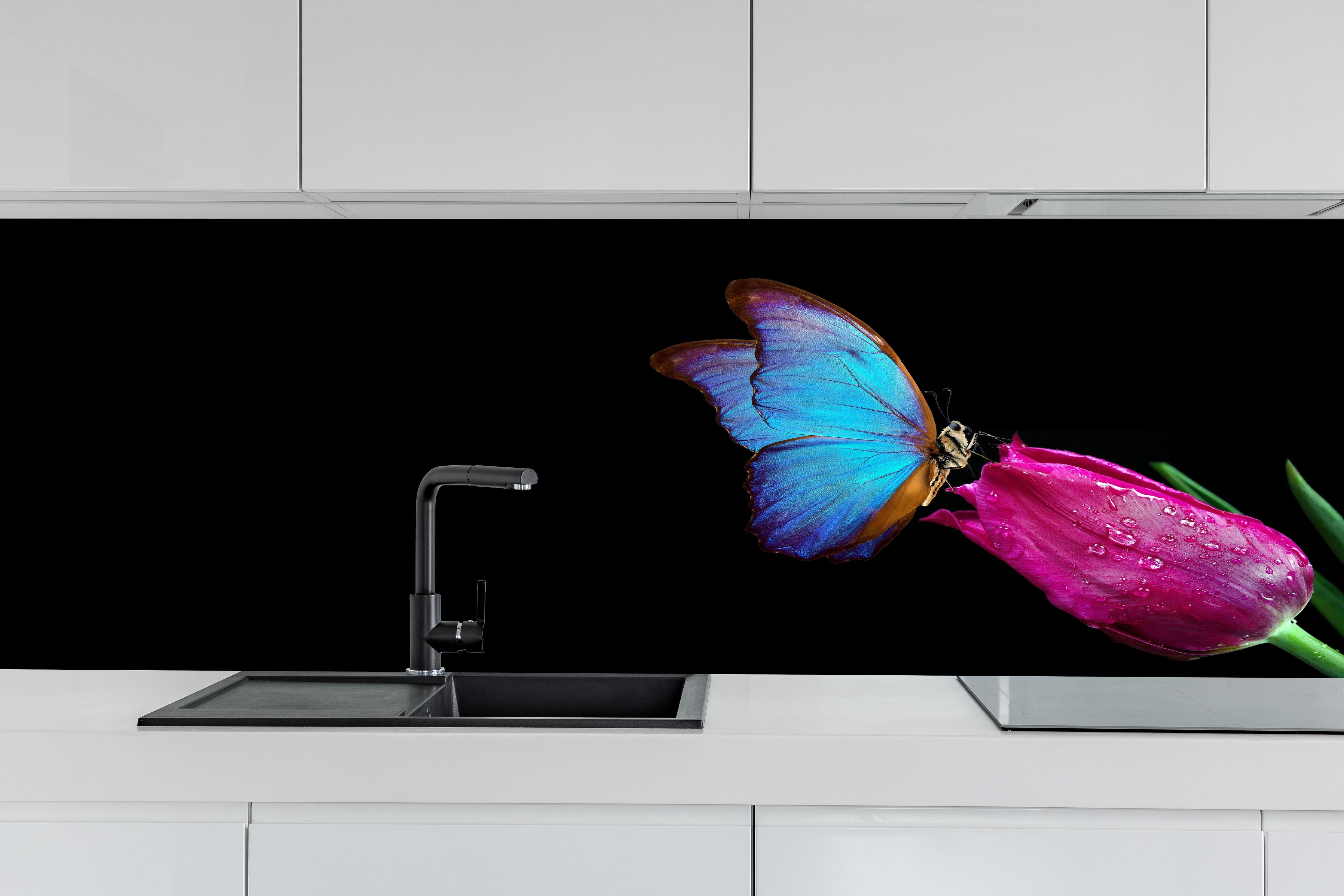 Küche - Blauer Morphofalter - schwarzer Hintergrund hinter weißen Hochglanz-Küchenregalen und schwarzem Wasserhahn