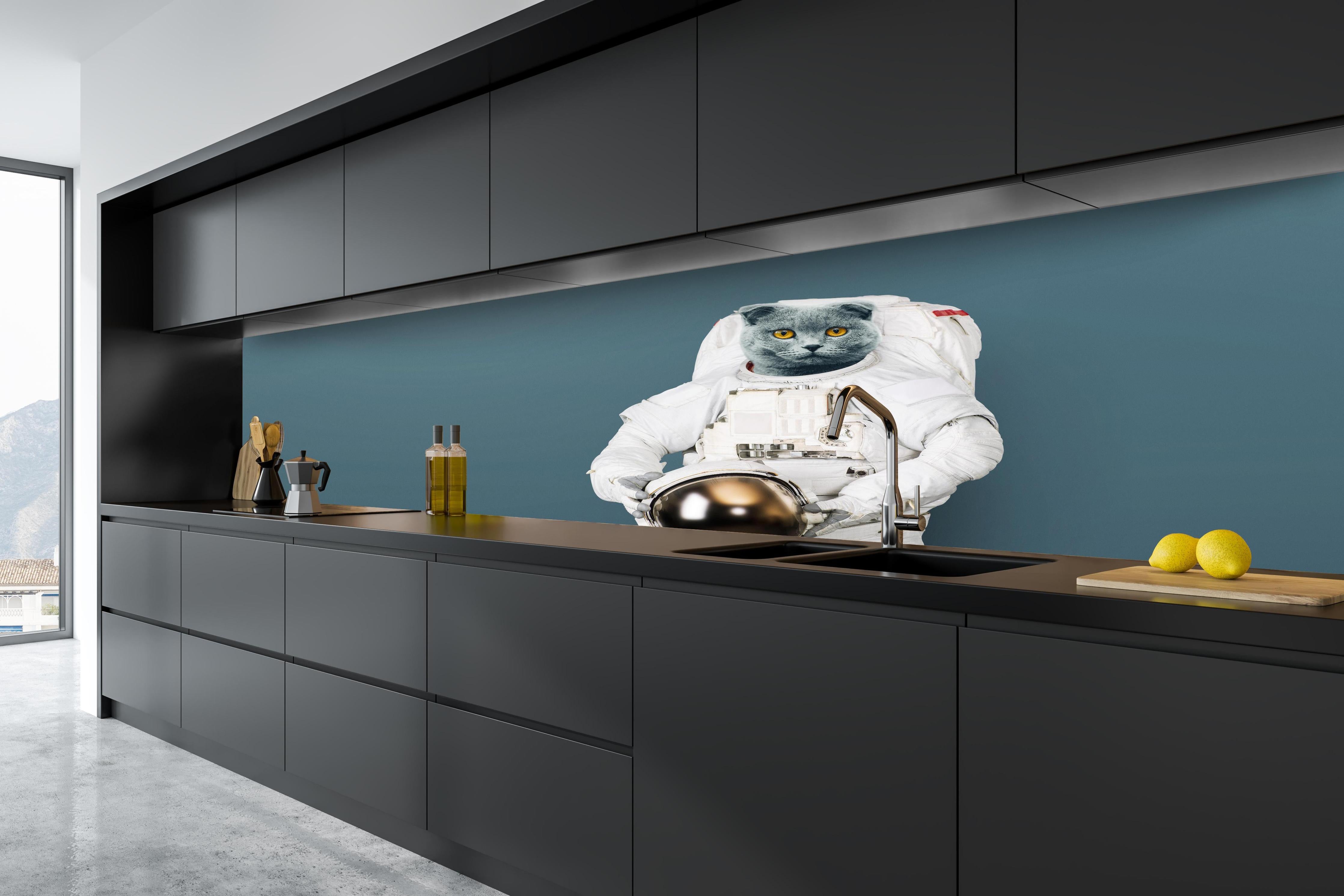 Küche - Britischer Katzen-Astronaut mit Helm hinter weißen Hochglanz-Küchenregalen und schwarzem Wasserhahn