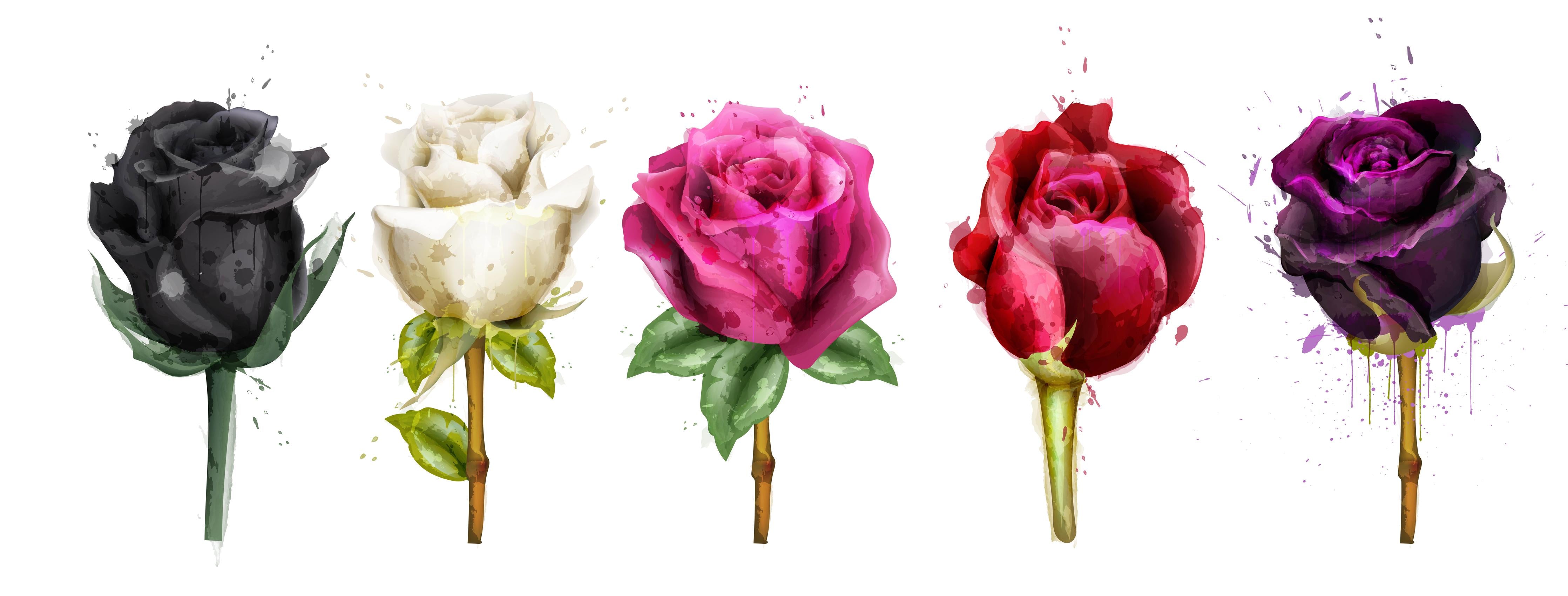 Küchenrückwand-Bunte Rosen mit farbigen Tropfen