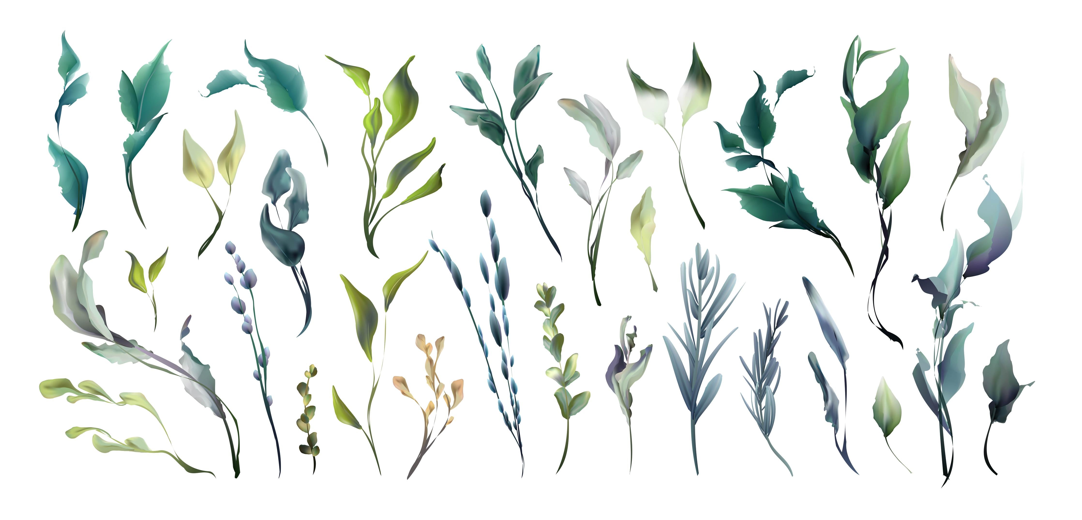 Küchenrückwand-Dekorative Aquarell Pflanzen und Blätter Kollektion